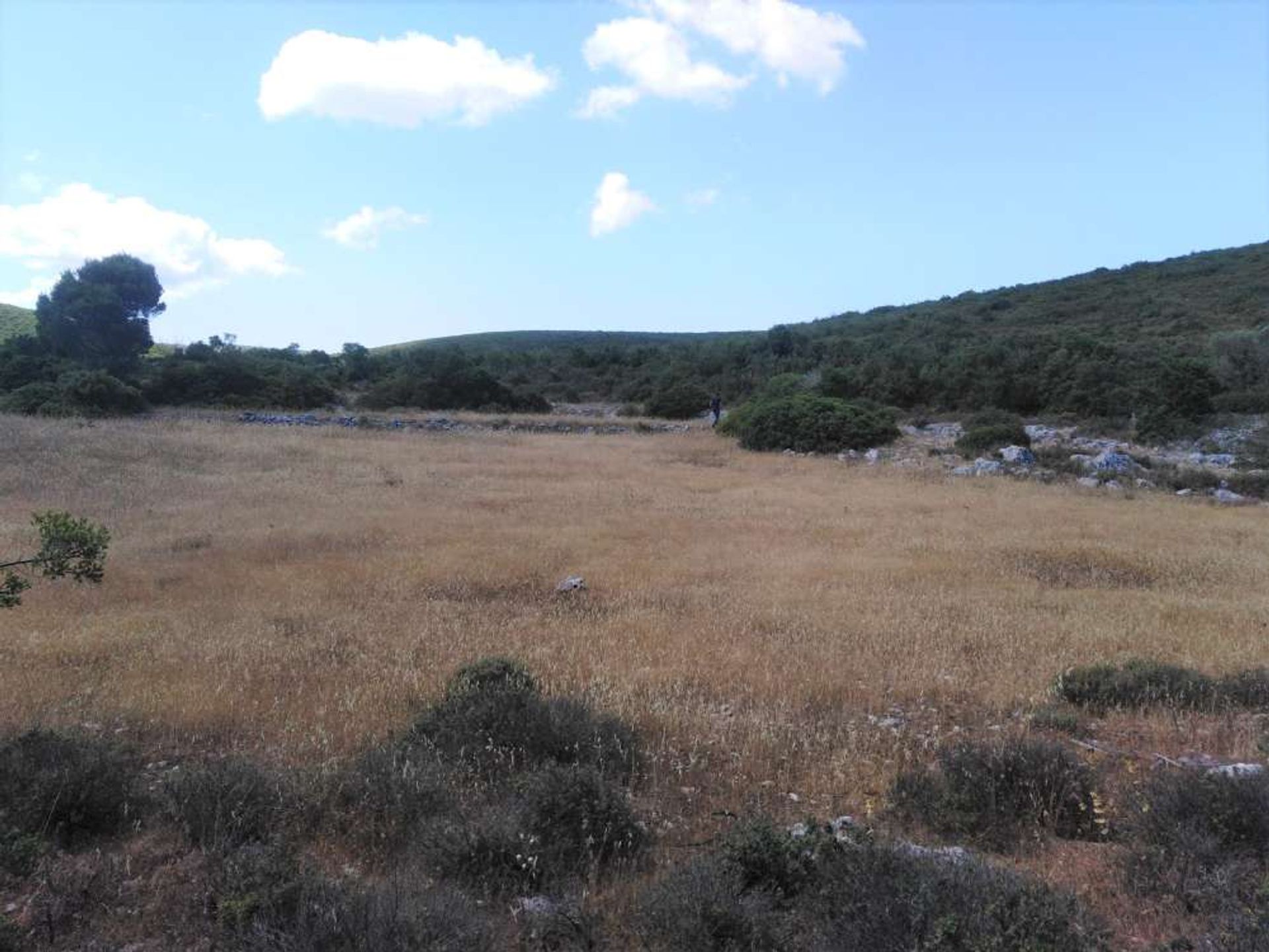 Land in Bochali, Ionia Nisia 11390933