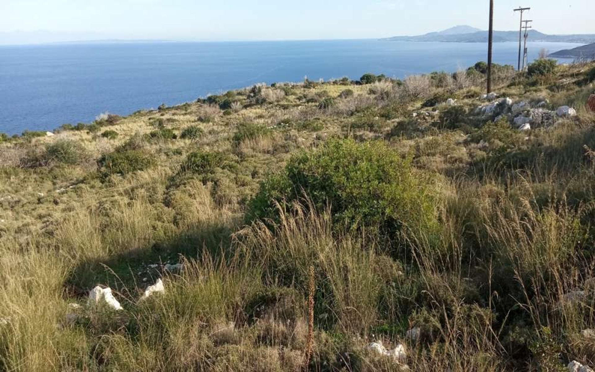 Tierra en bochalí, Jonia Nisia 11390941