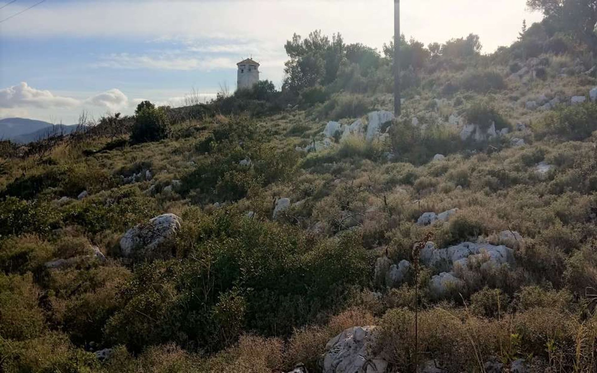 Tierra en bochalí, Jonia Nisia 11390941