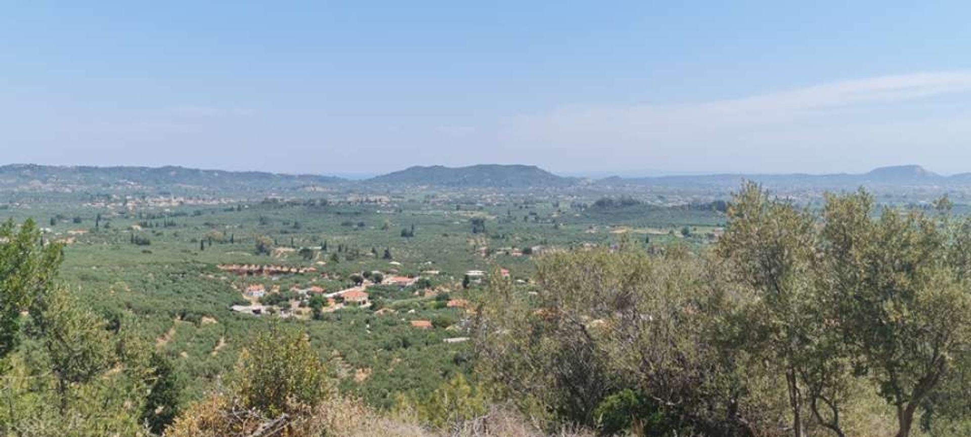 Tierra en bochalí, Jonia Nisia 11390942