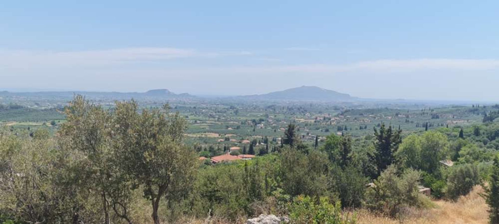 Tierra en bochalí, Jonia Nisia 11390942