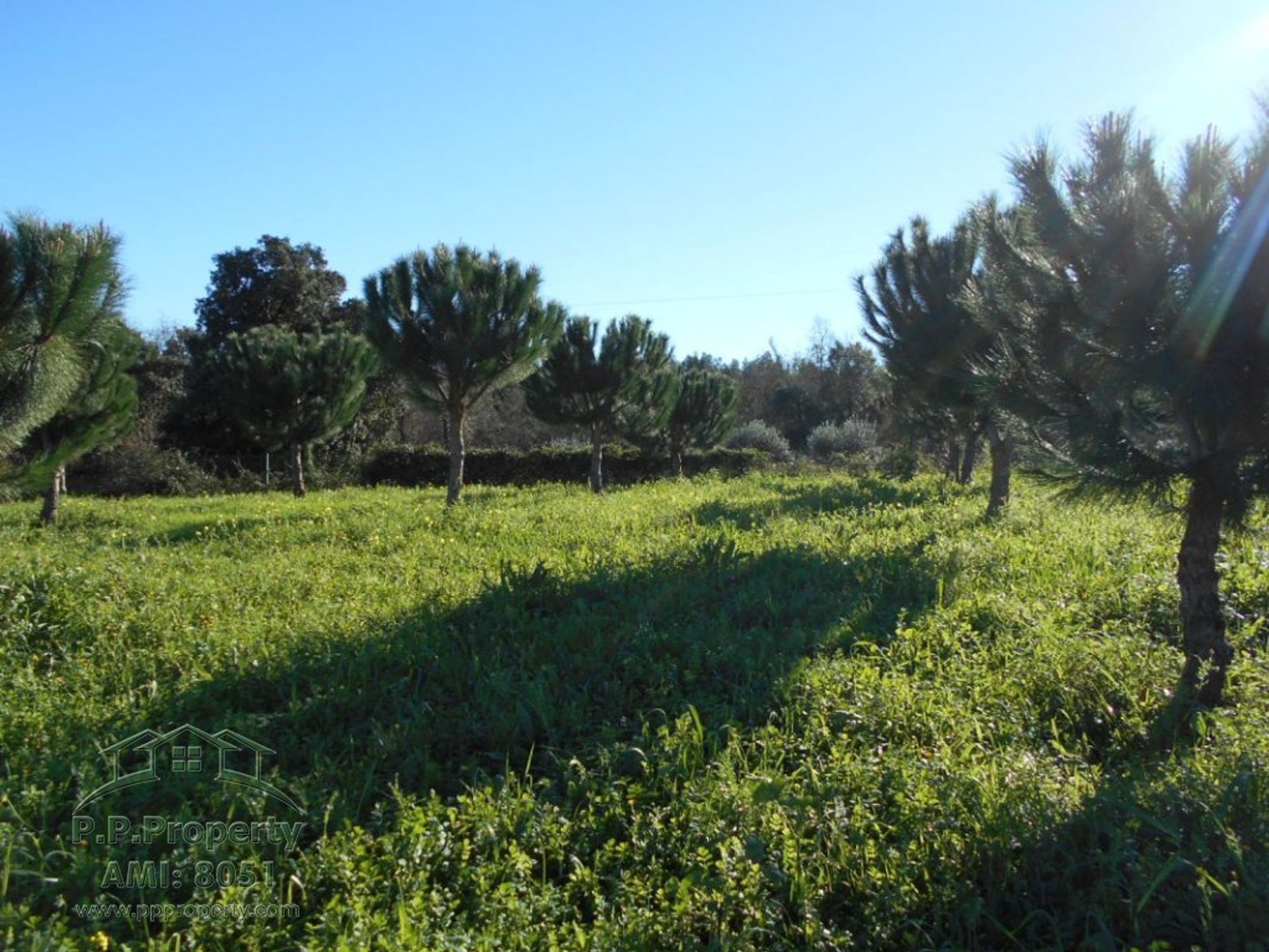 loger dans Ferreira do Zêzere, Santarém District 11390978