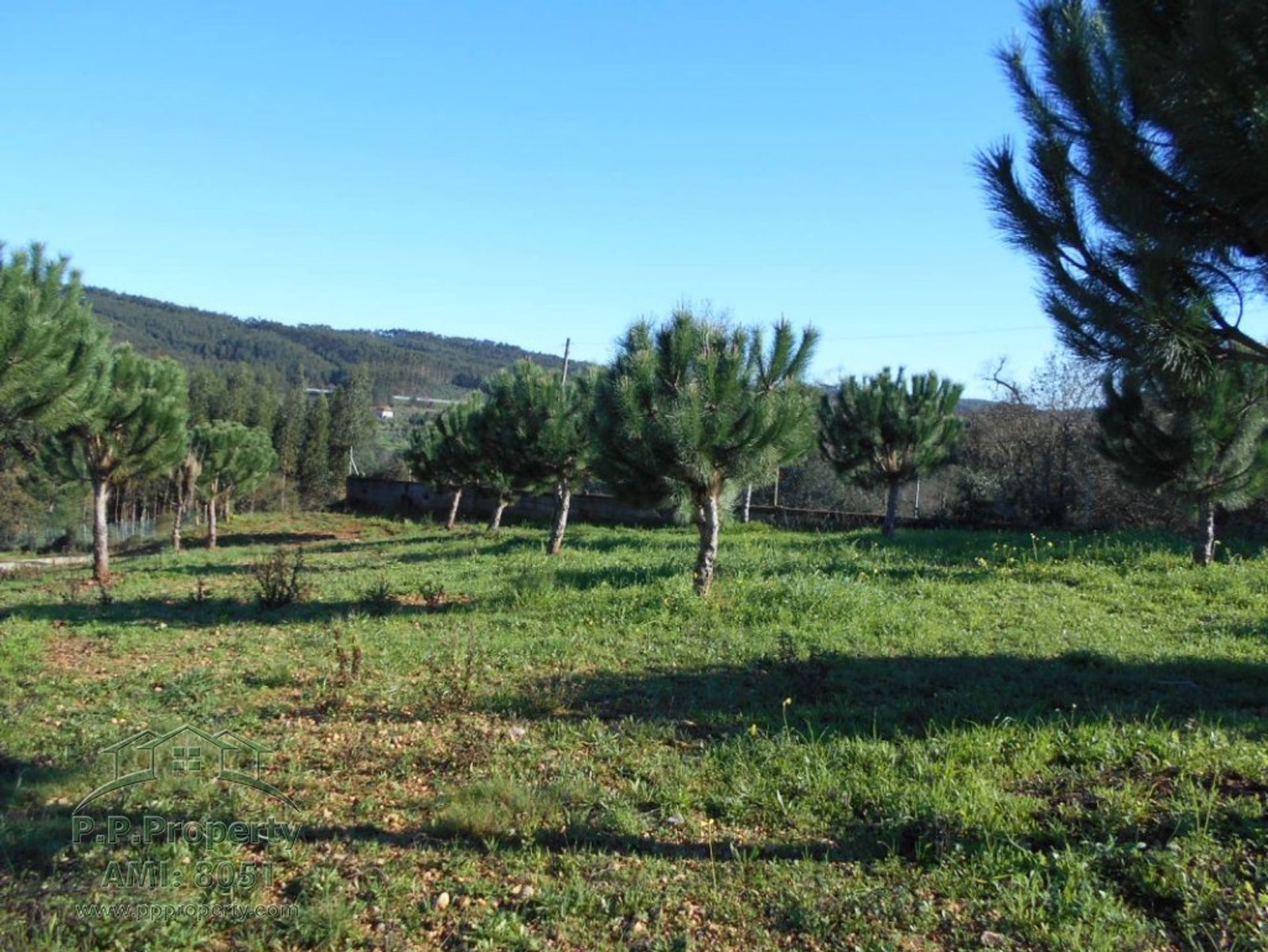 loger dans Ferreira do Zêzere, Santarém District 11390978