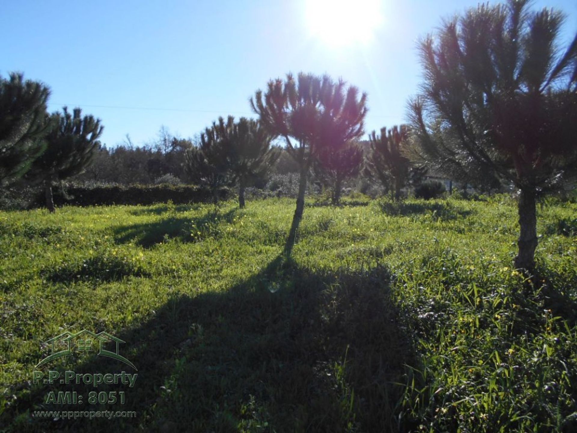 loger dans Ferreira do Zêzere, Santarém District 11390978