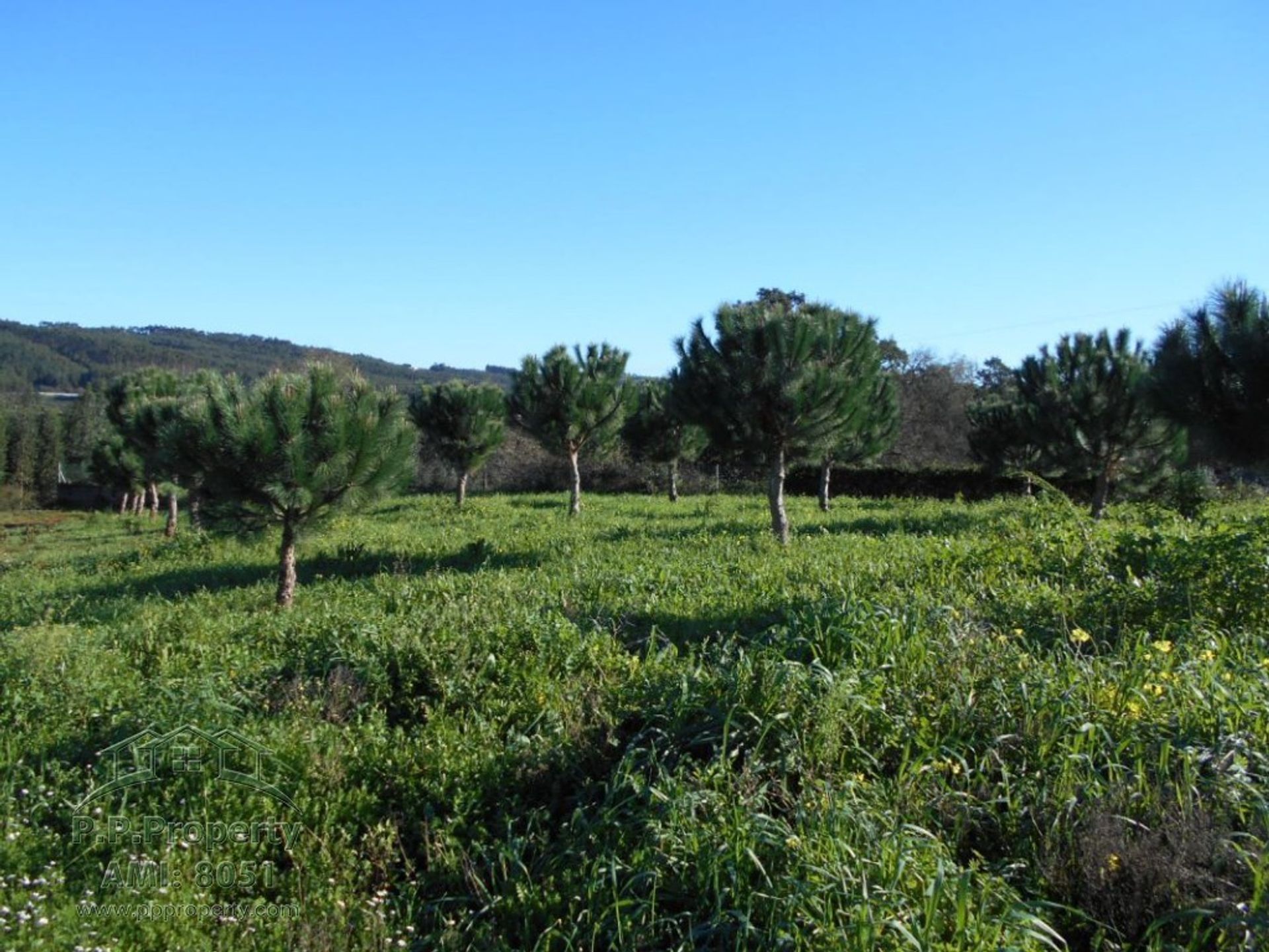 loger dans Ferreira do Zêzere, Santarém District 11390978