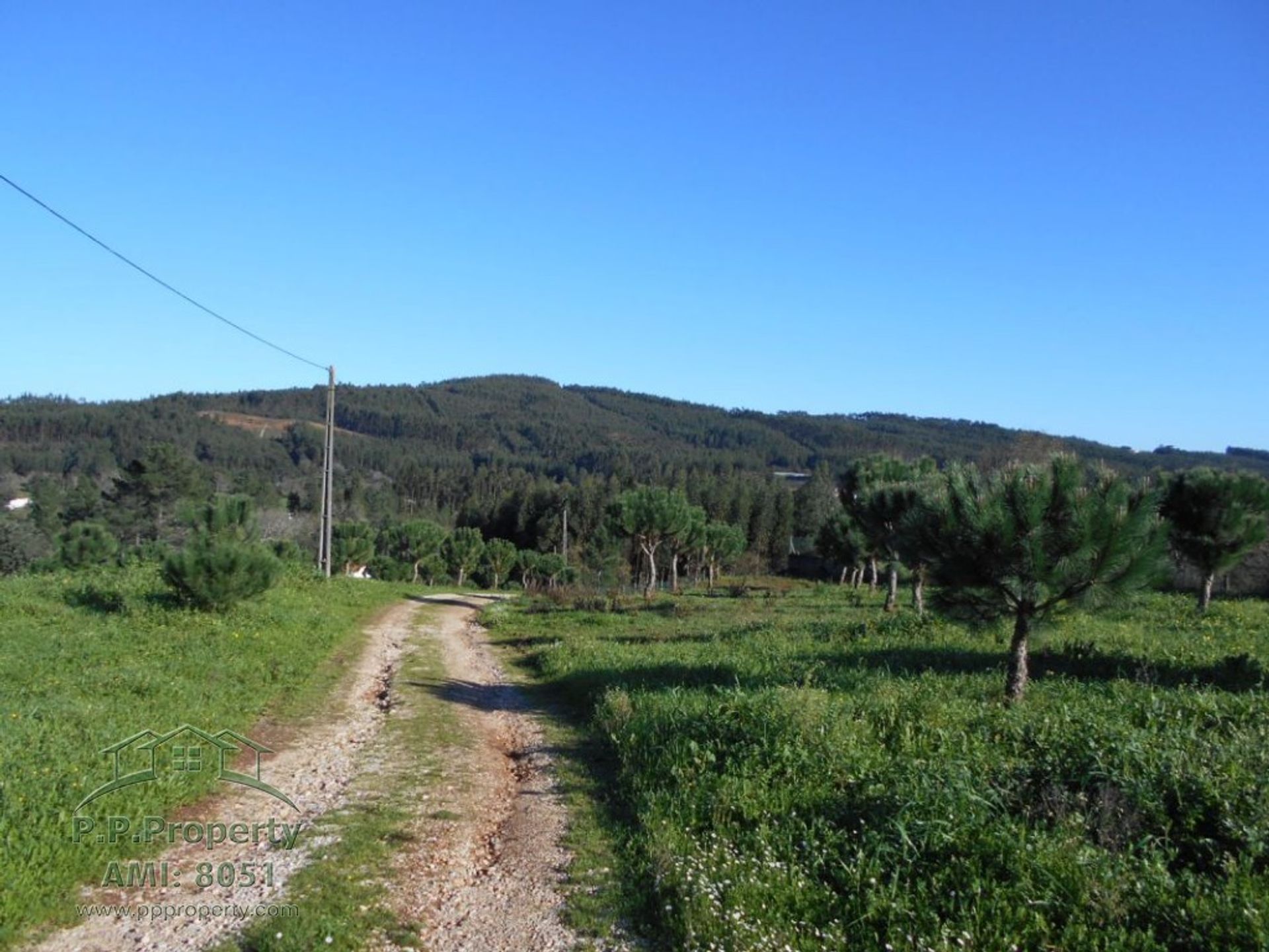 loger dans Ferreira do Zêzere, Santarém District 11390978