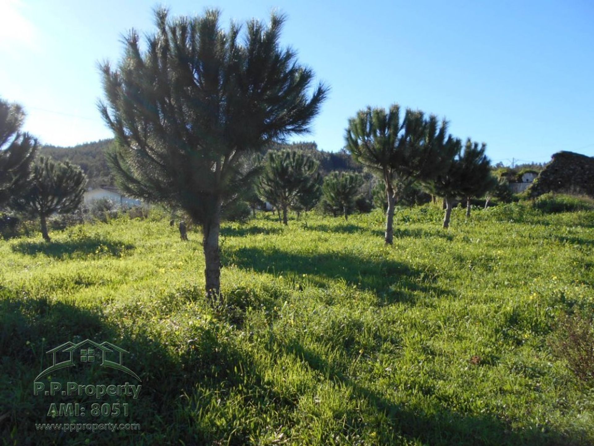 loger dans Ferreira do Zêzere, Santarém District 11390978