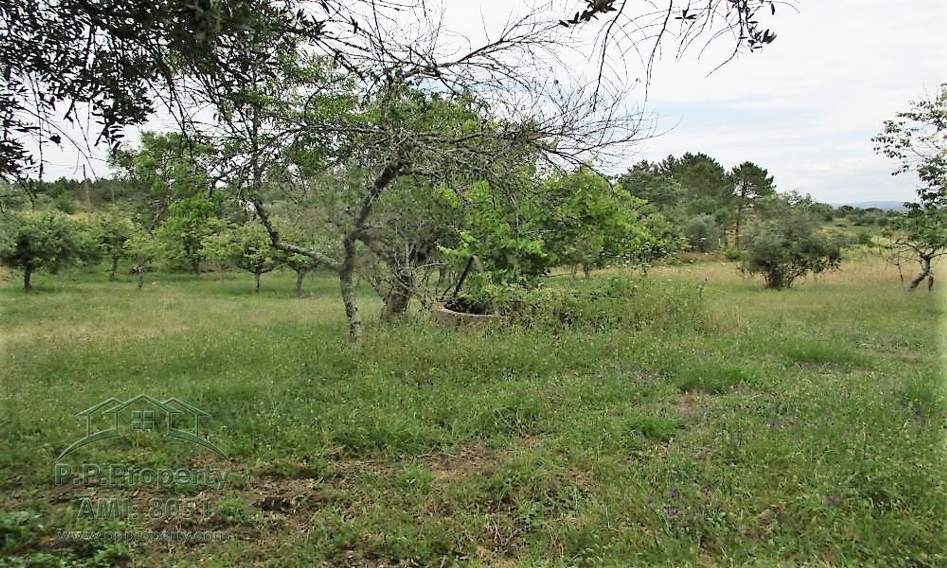 casa no Tomar, Santarém District 11391004