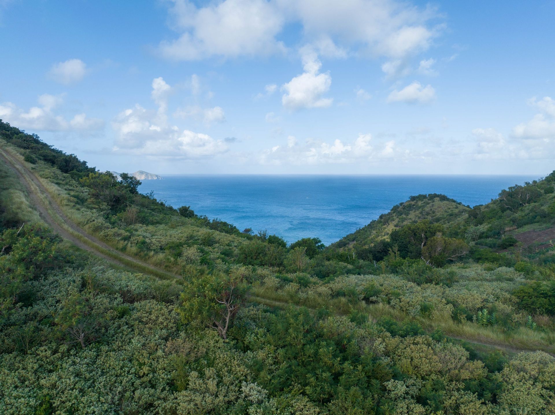 Terre dans Baie de corail, Les iles vierges 11391011