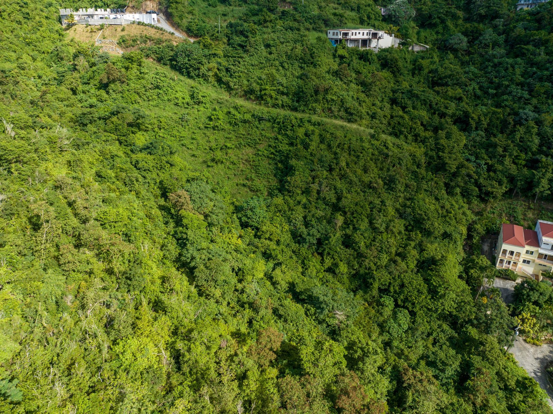 Tierra en bahía de coral, Islas Virgenes 11391020