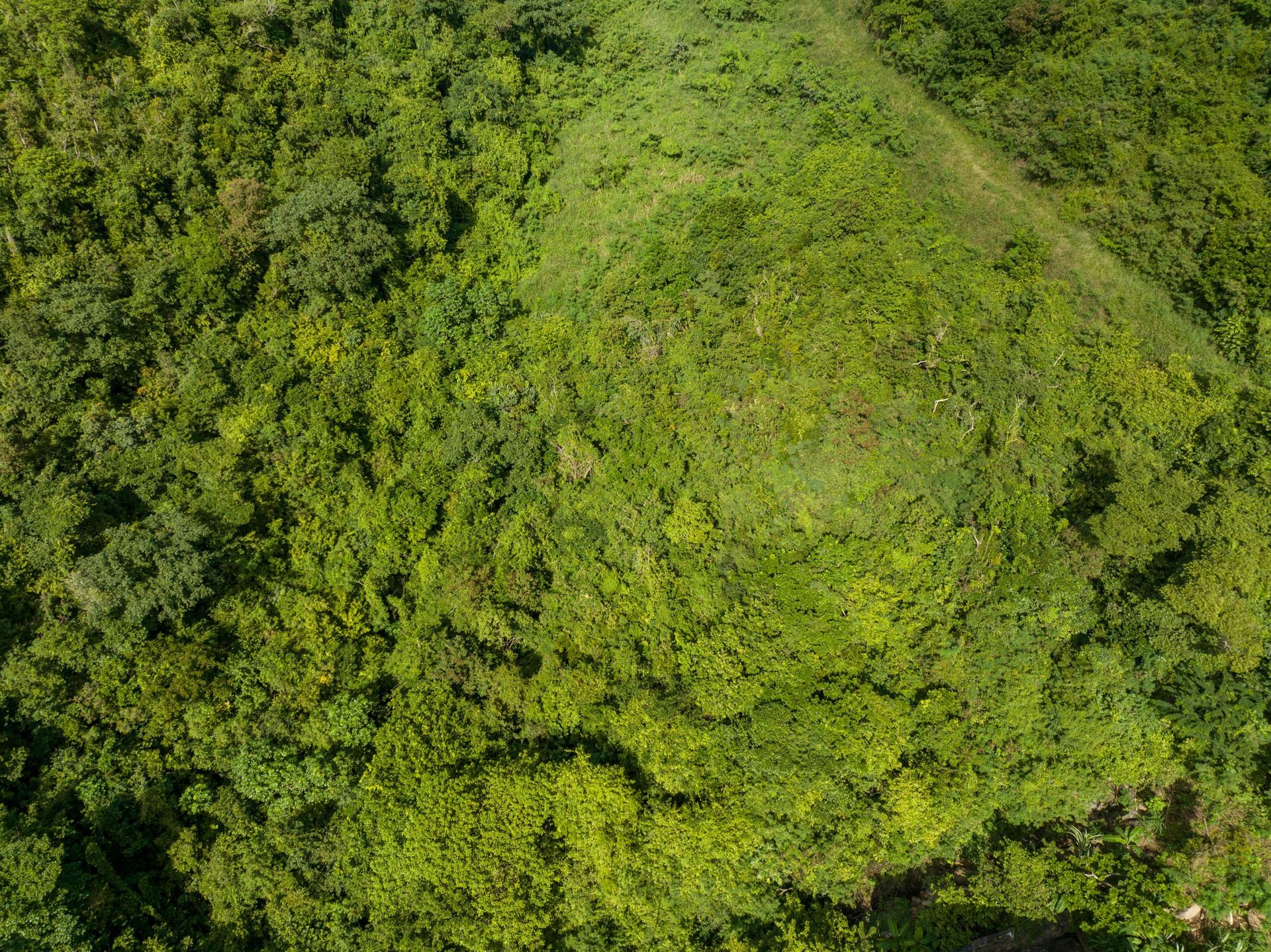 Tanah di , Tortola 11391020