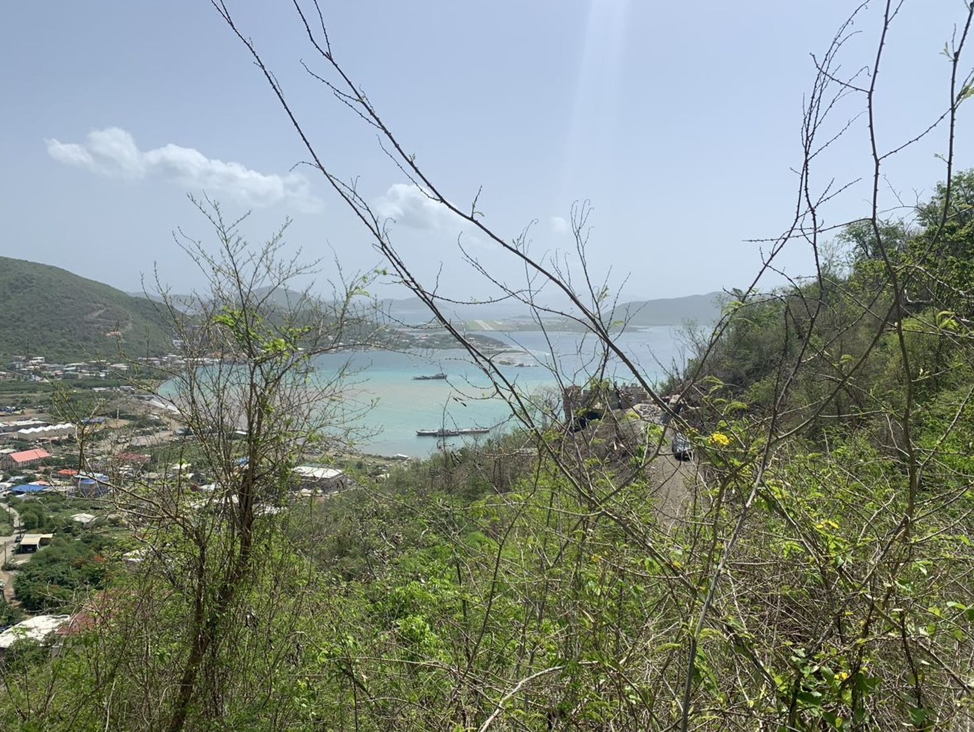 Sbarcare nel Baia dei Coralli, Isole Vergini 11391021