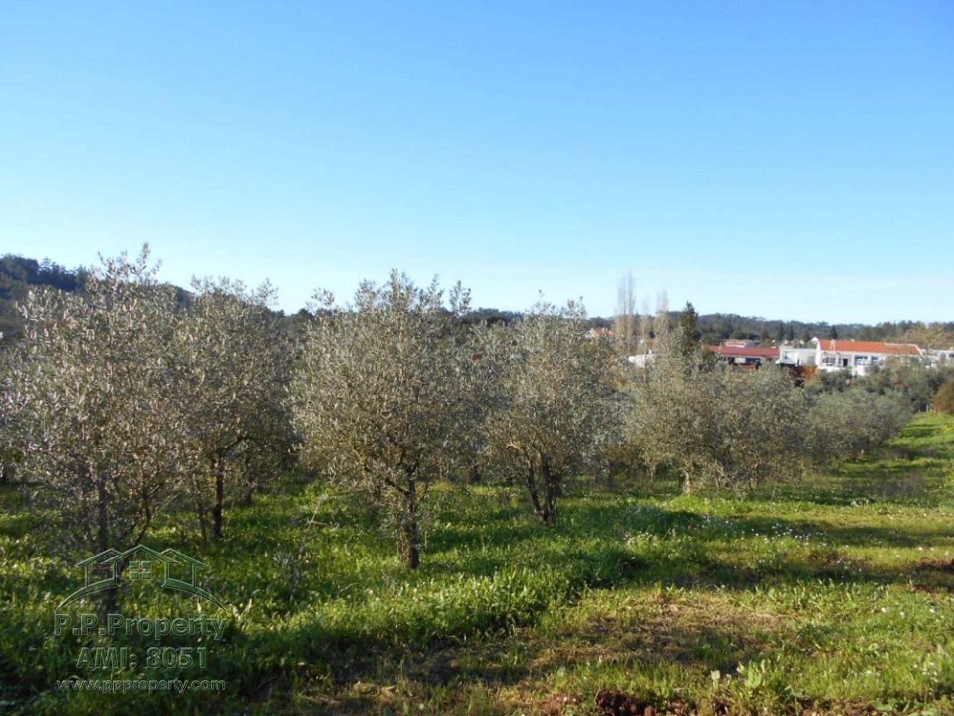 σπίτι σε Ferreira do Zêzere, Santarém District 11391089