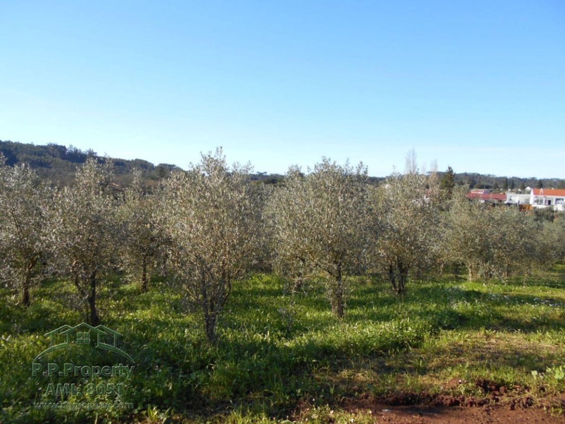 σπίτι σε Ferreira do Zêzere, Santarém District 11391089