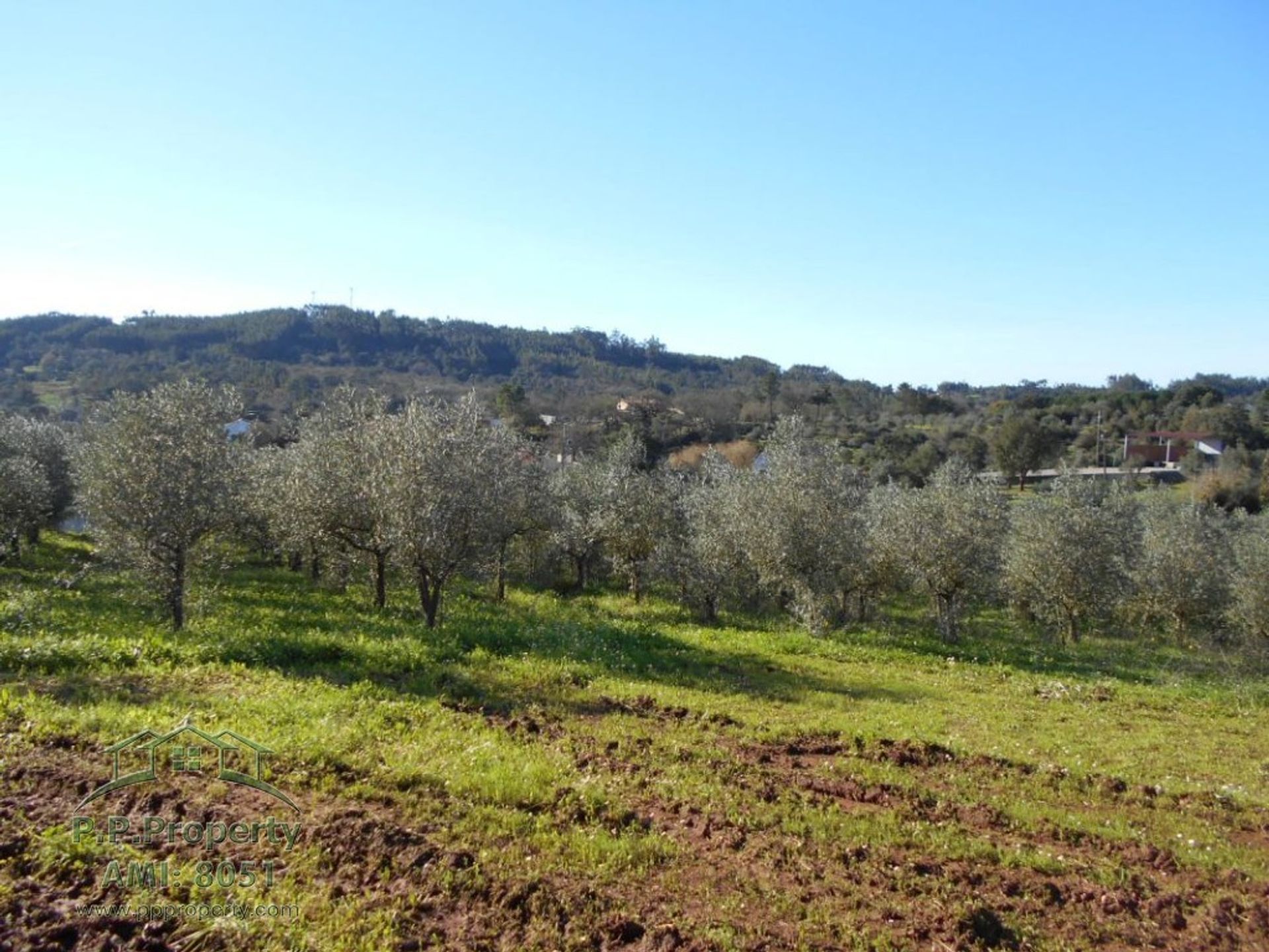 σπίτι σε Ferreira do Zêzere, Santarém District 11391089