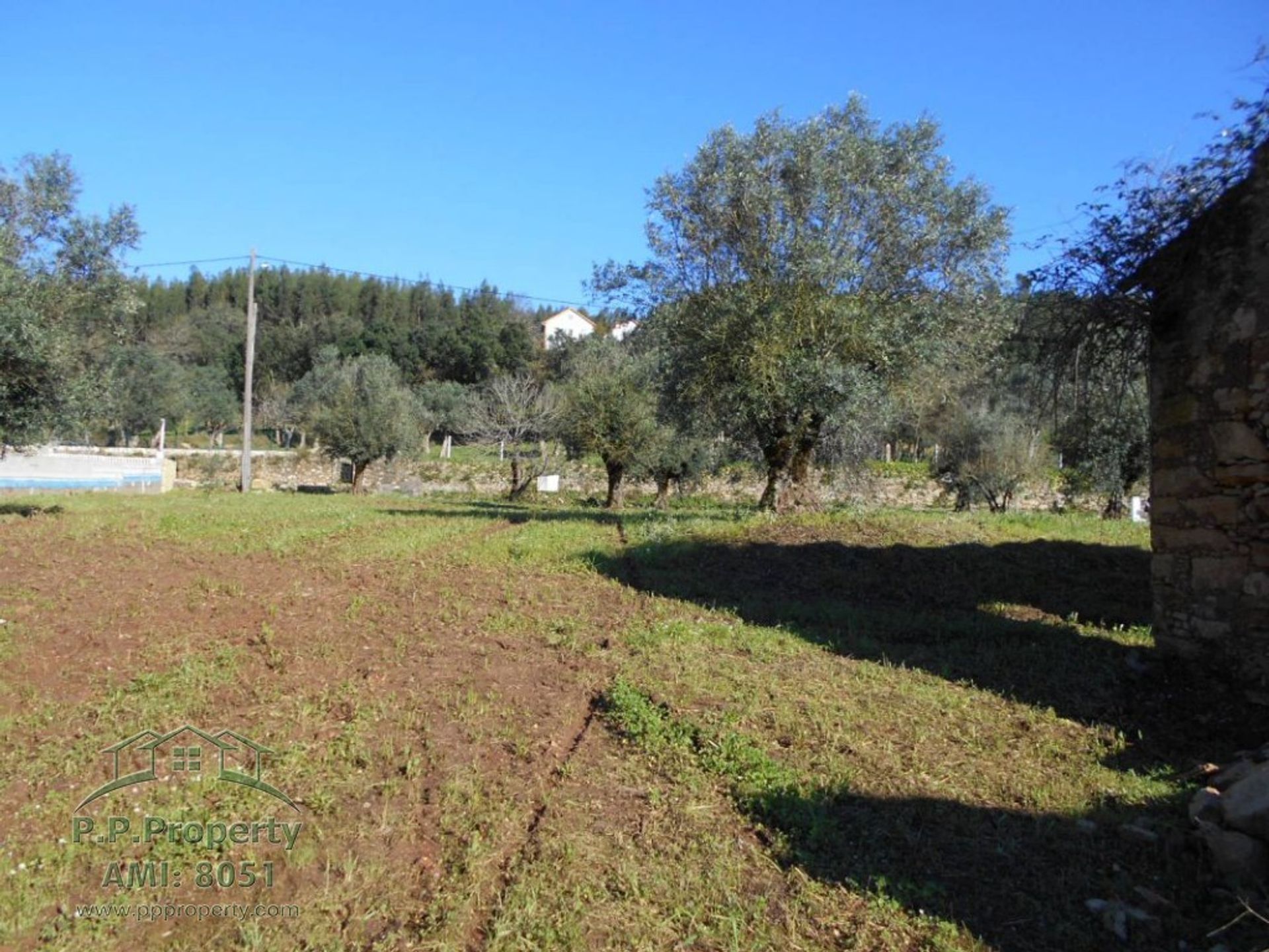 жилой дом в Ferreira do Zêzere, Santarém District 11391089