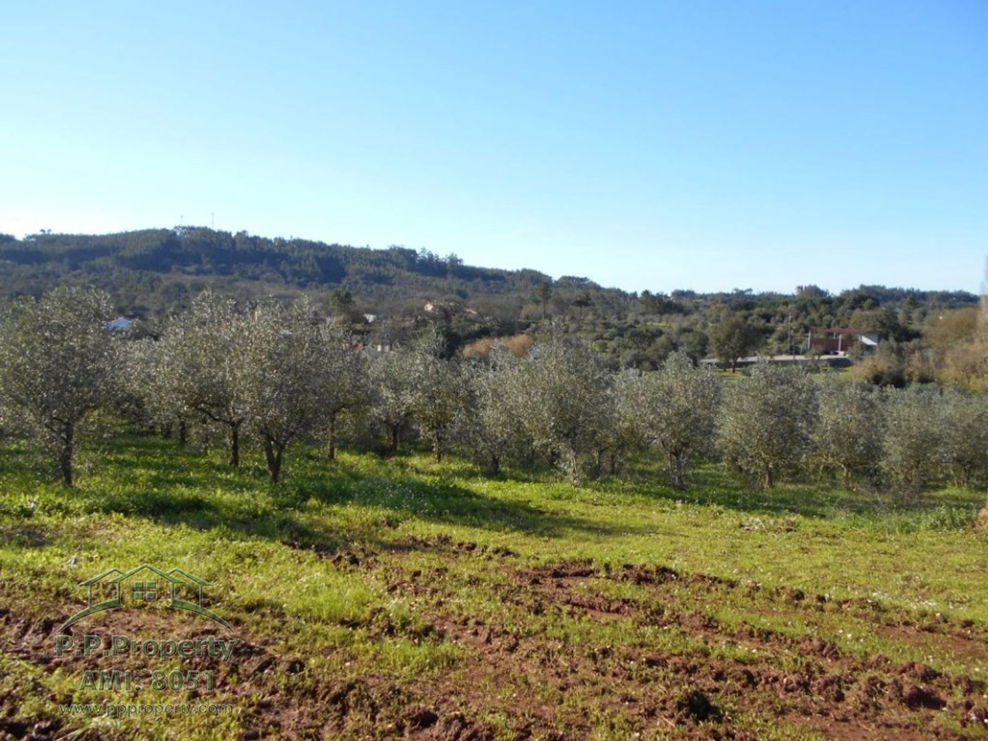 σπίτι σε Ferreira do Zêzere, Santarém District 11391089