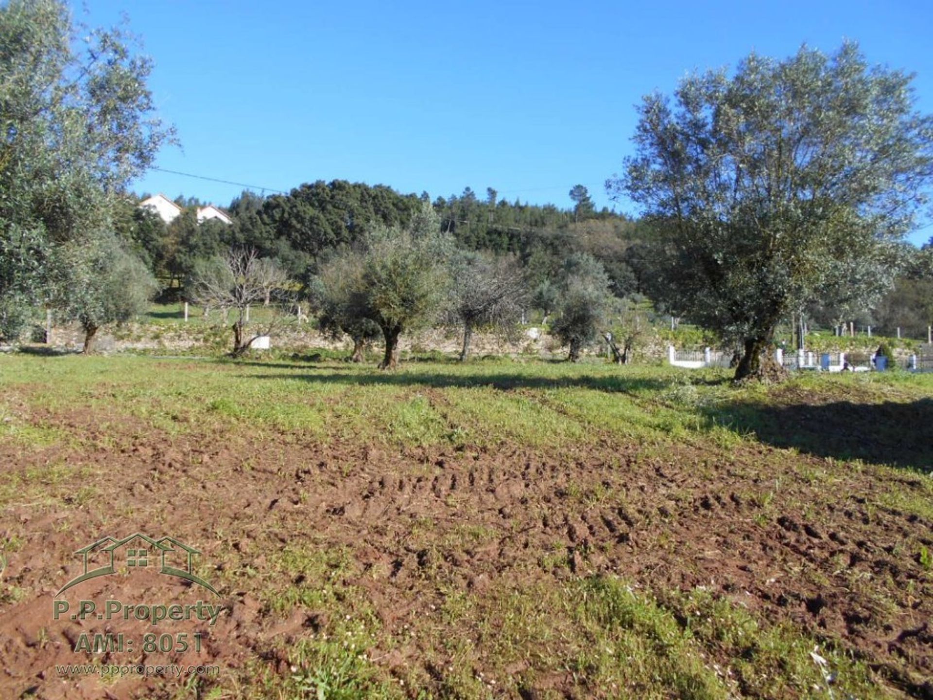 σπίτι σε Ferreira do Zêzere, Santarém District 11391089