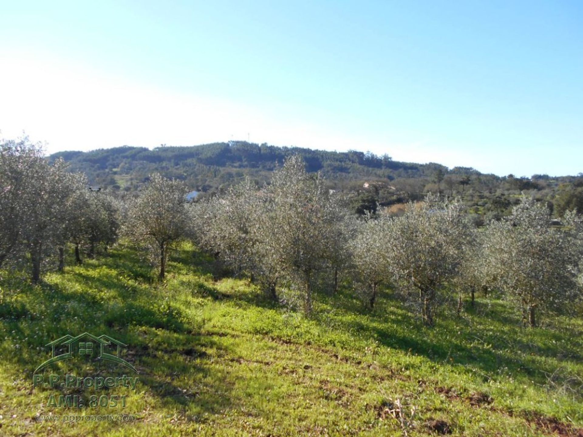 σπίτι σε Ferreira do Zêzere, Santarém District 11391089