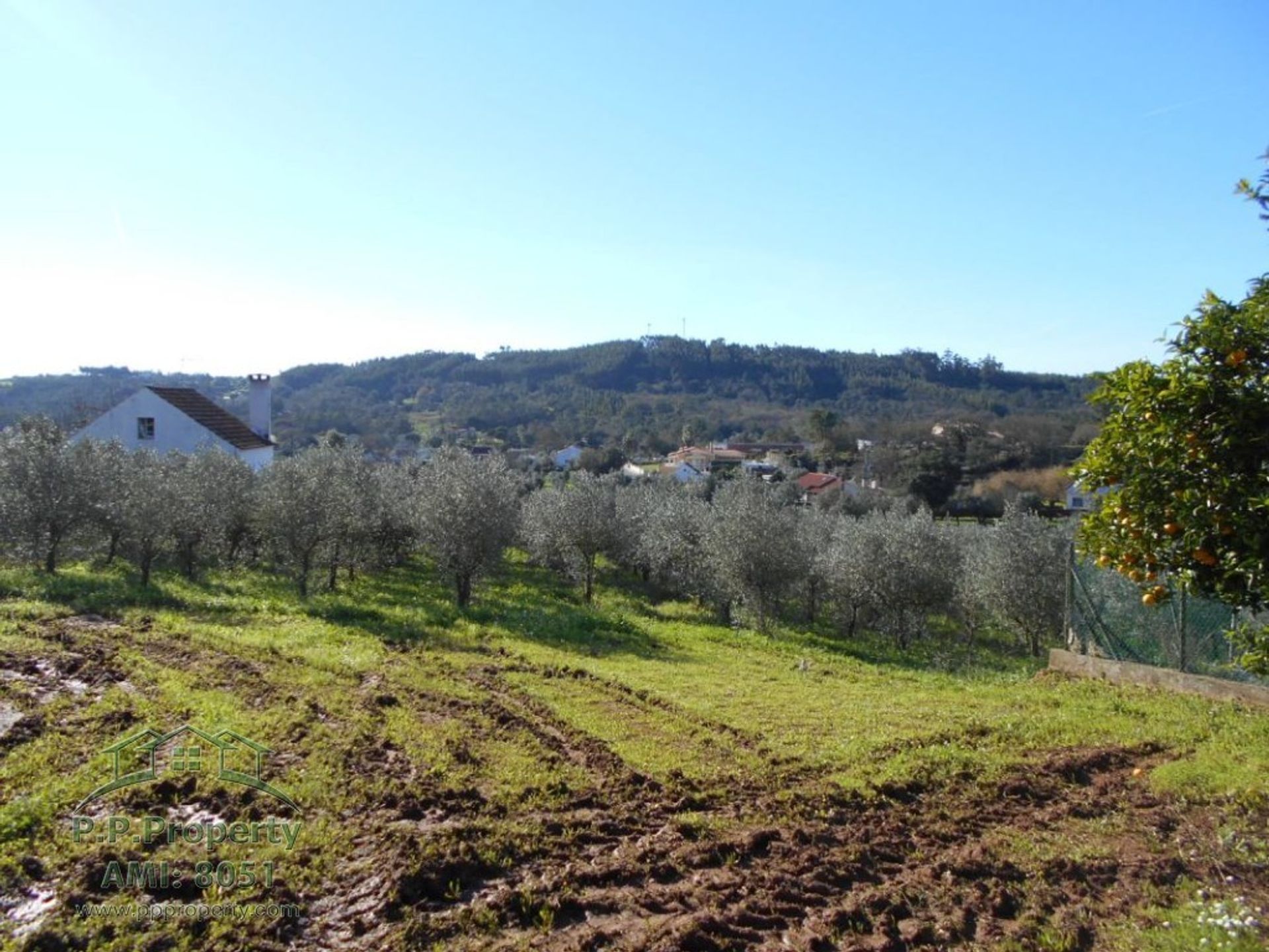 σπίτι σε Ferreira do Zêzere, Santarém District 11391089