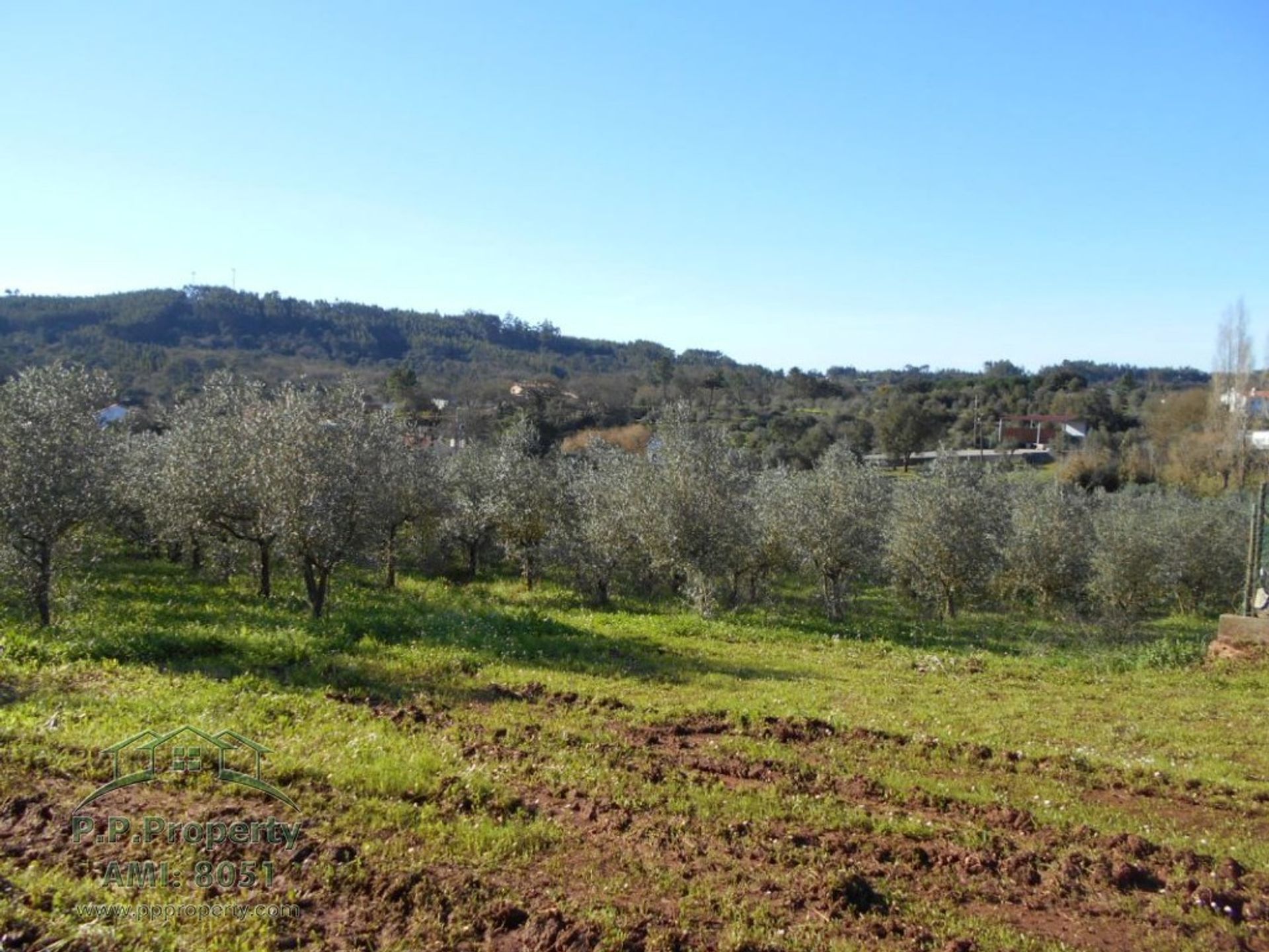 Dom w Ferreira do Zêzere, Santarém District 11391089