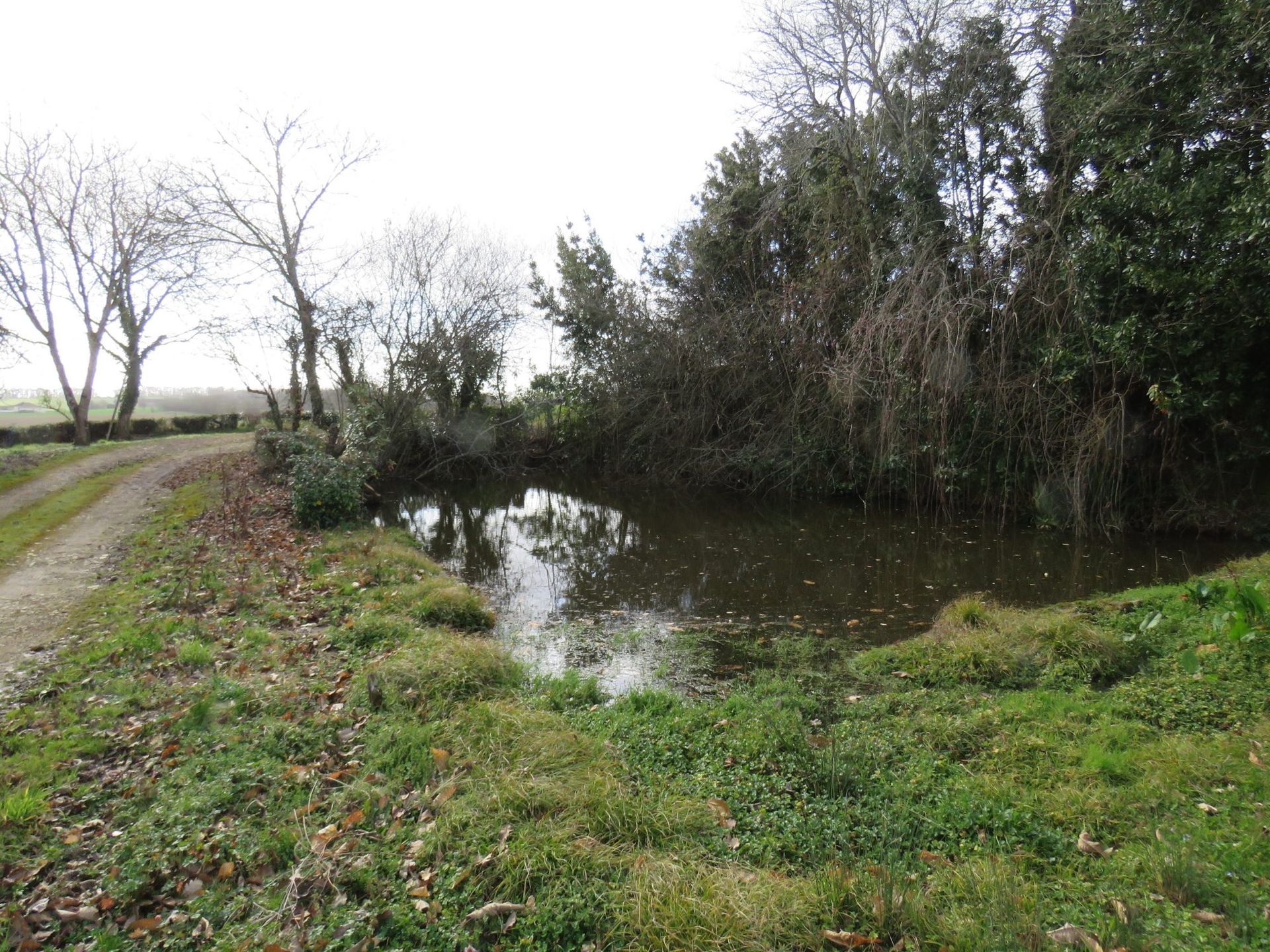 Hus i Masseube, Occitanie 11391229