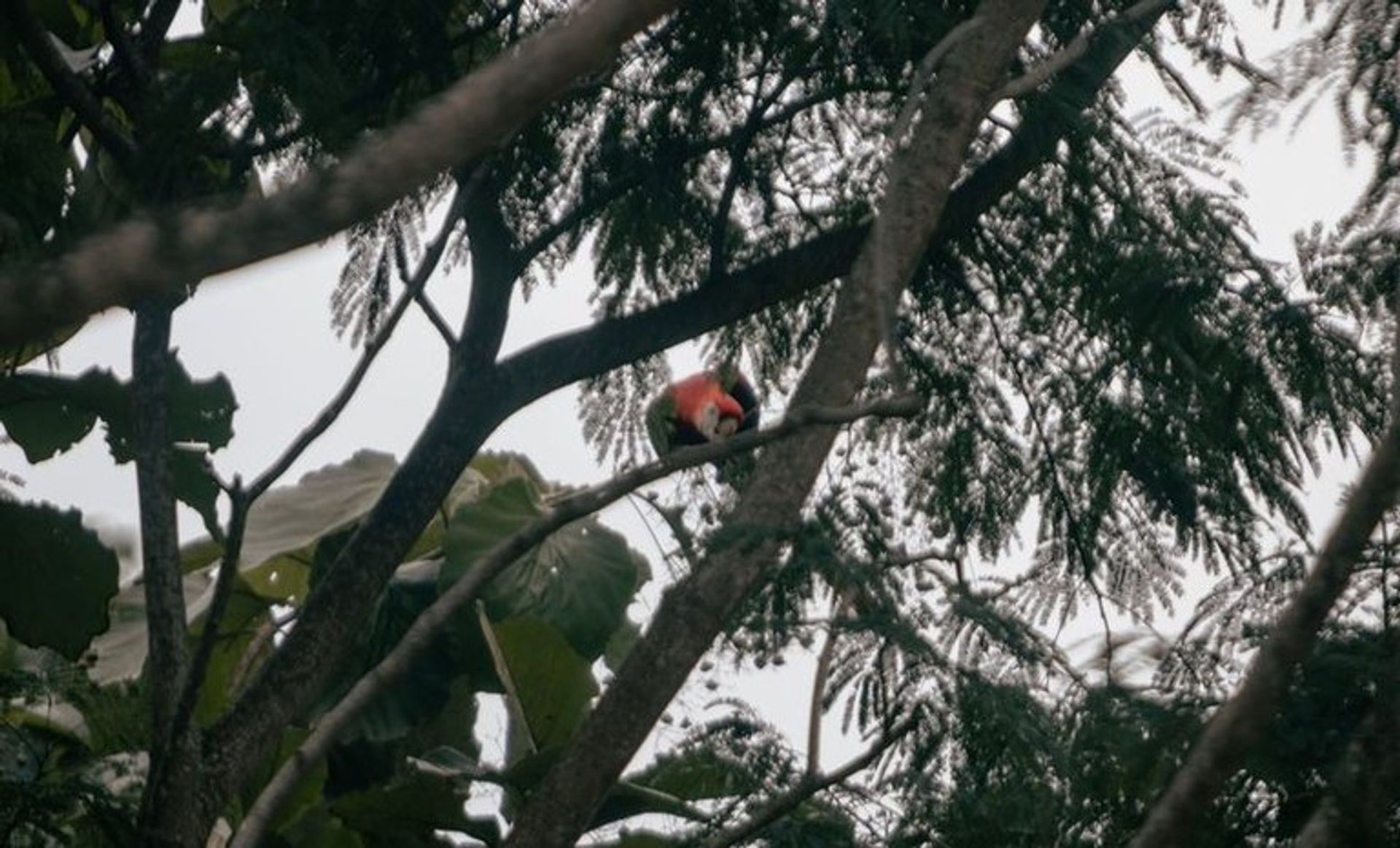 بيت في , Guanacaste Province 11392045