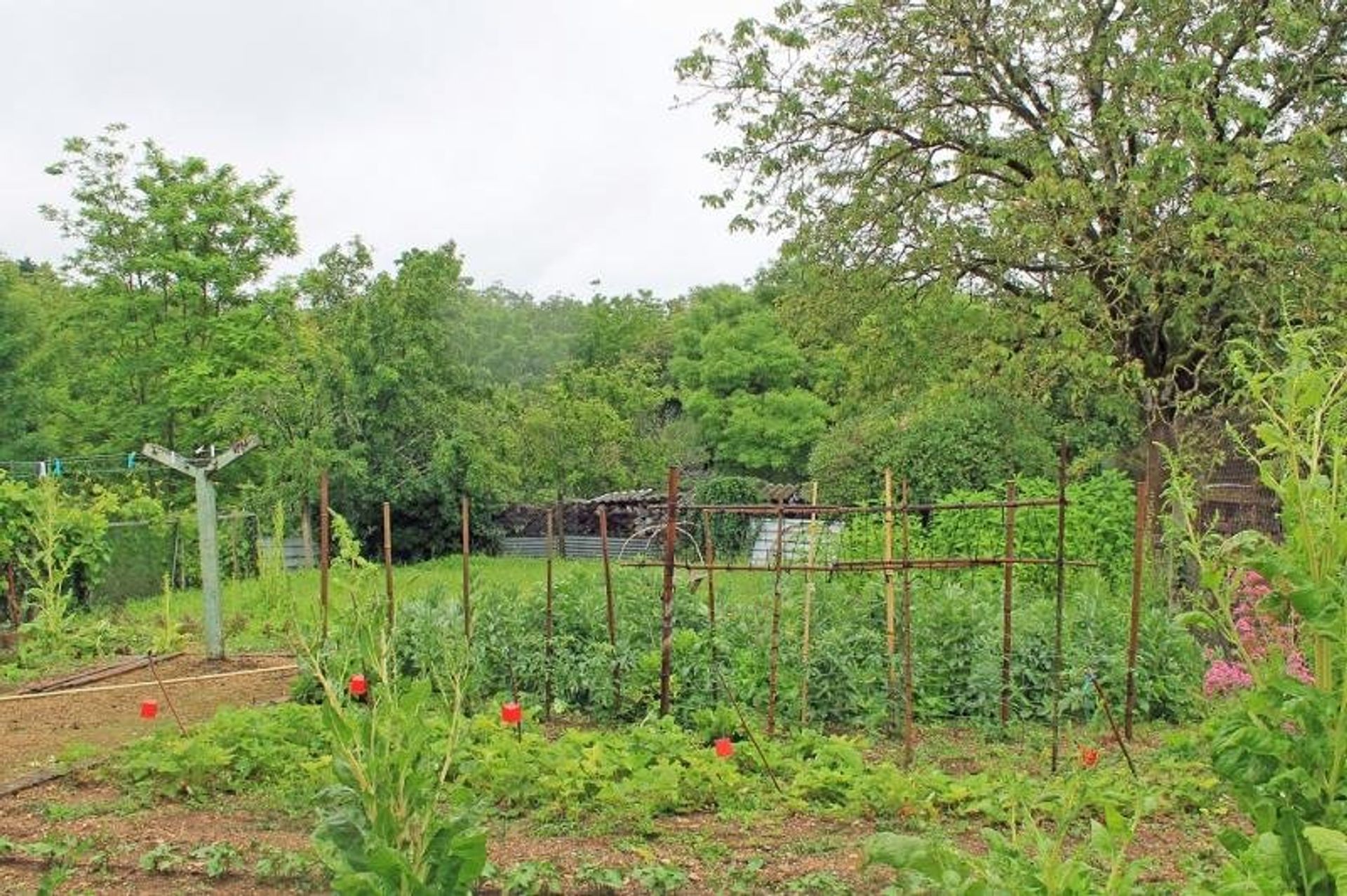 casa en Ruffec, Nouvelle-Aquitaine 11392447