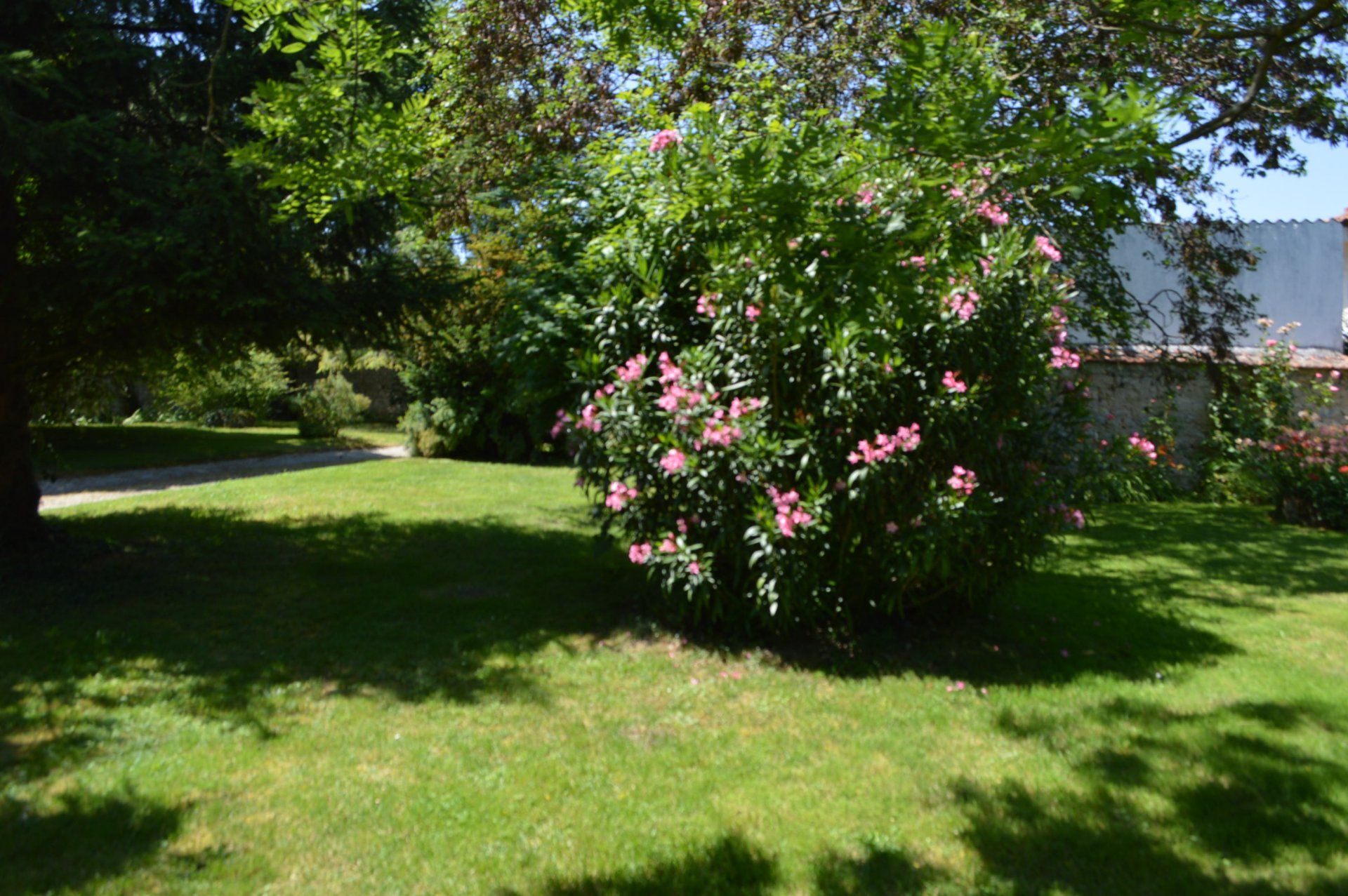 casa en Ruffec, Nouvelle-Aquitaine 11392447