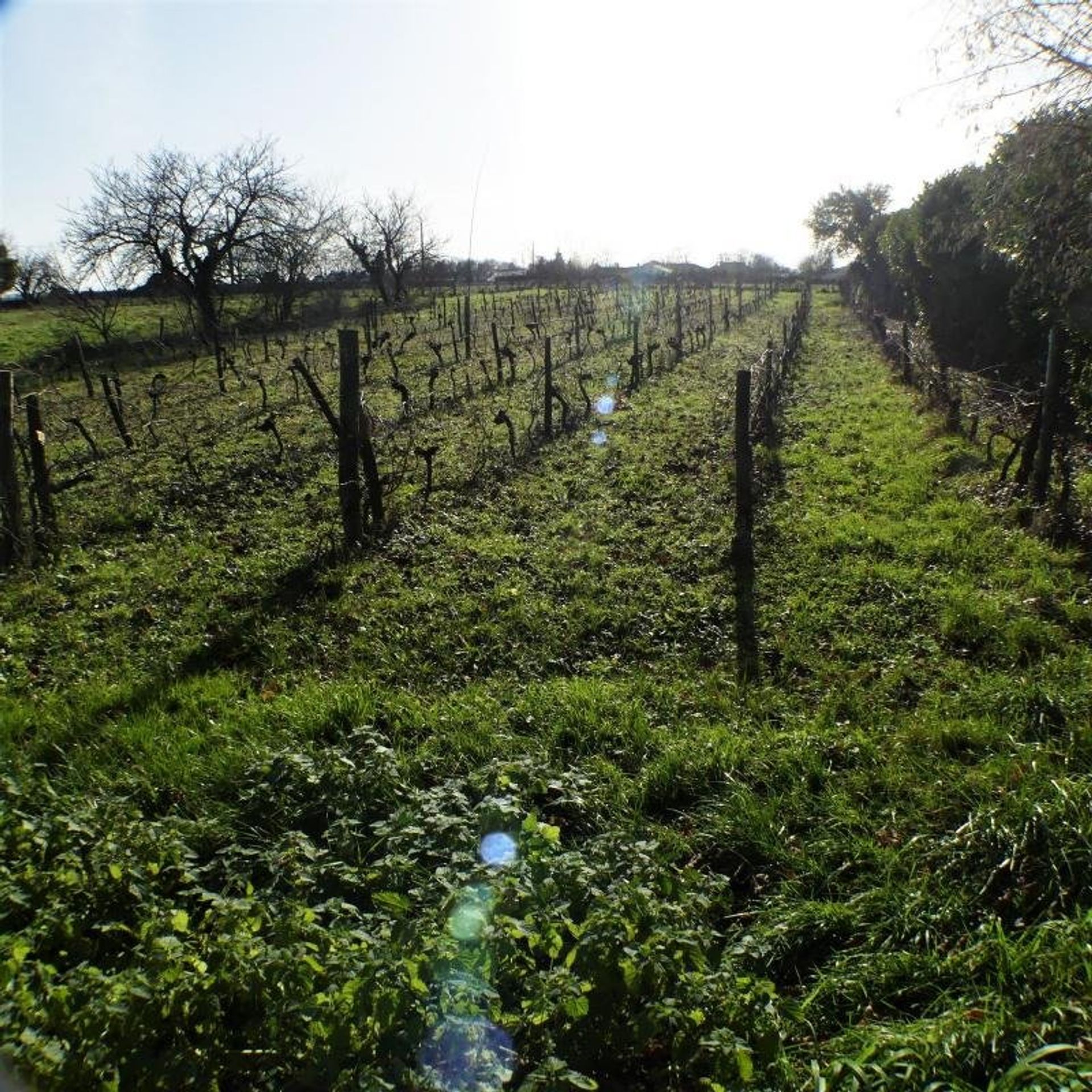 Autre dans Villefagnan, Nouvelle-Aquitaine 11392549