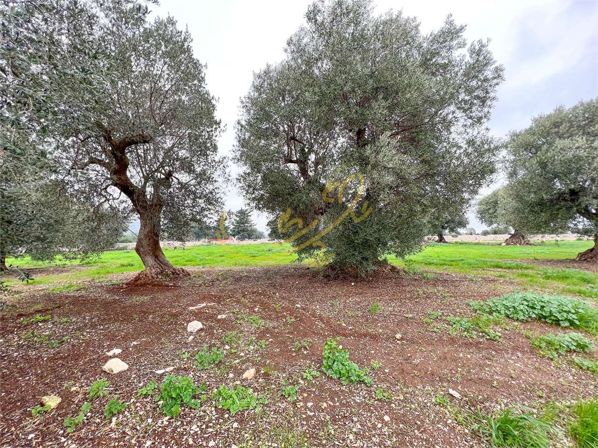 Casa nel Monopoli, Apulia 11393075