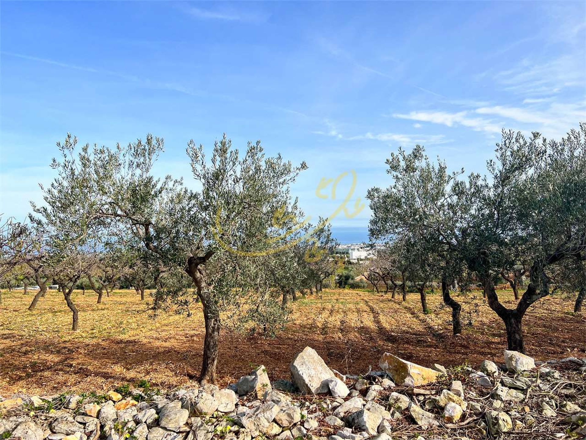 Casa nel Monopoli, Apulia 11393075