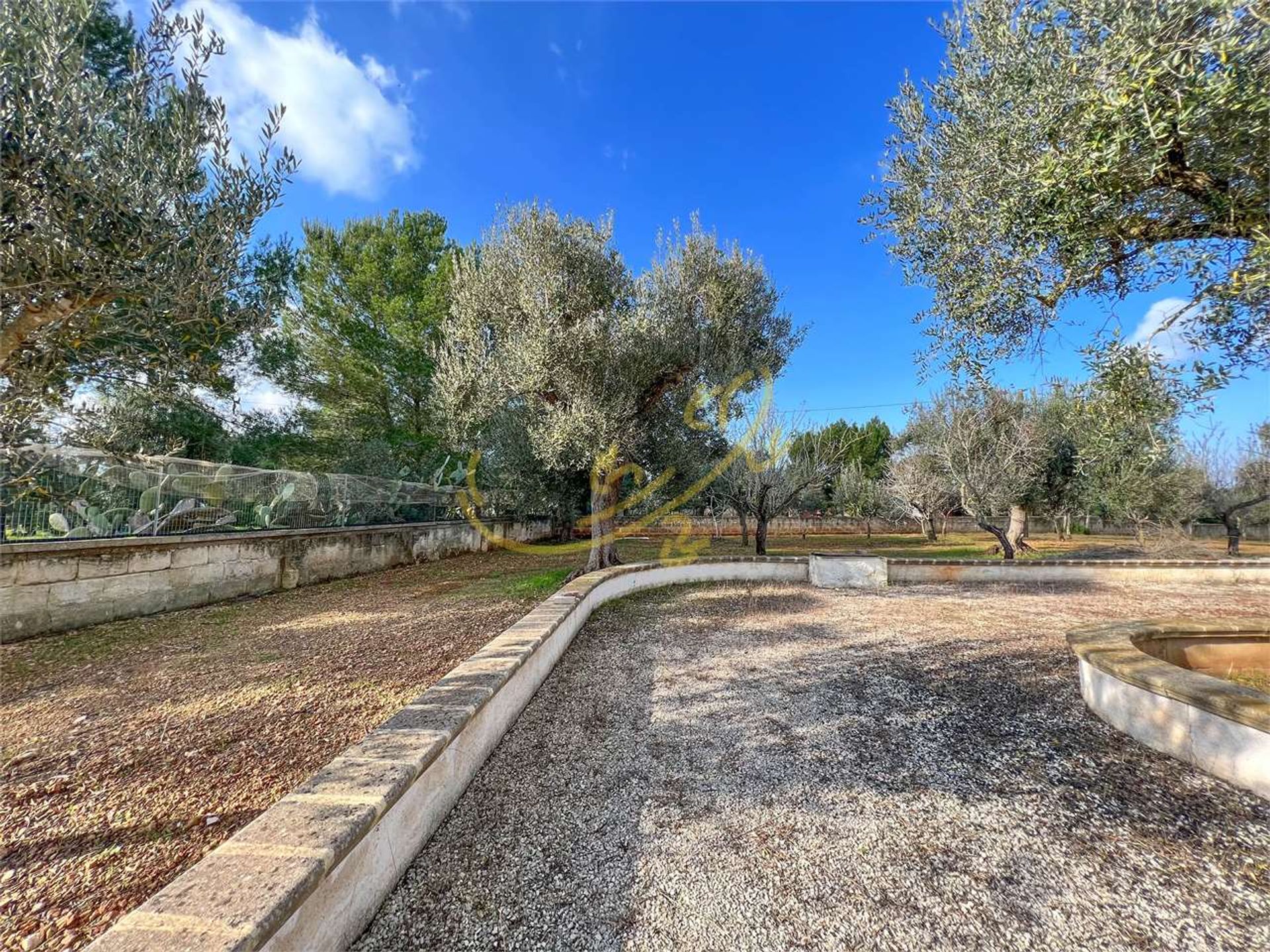 Будинок в Carovigno, Apulia 11393091