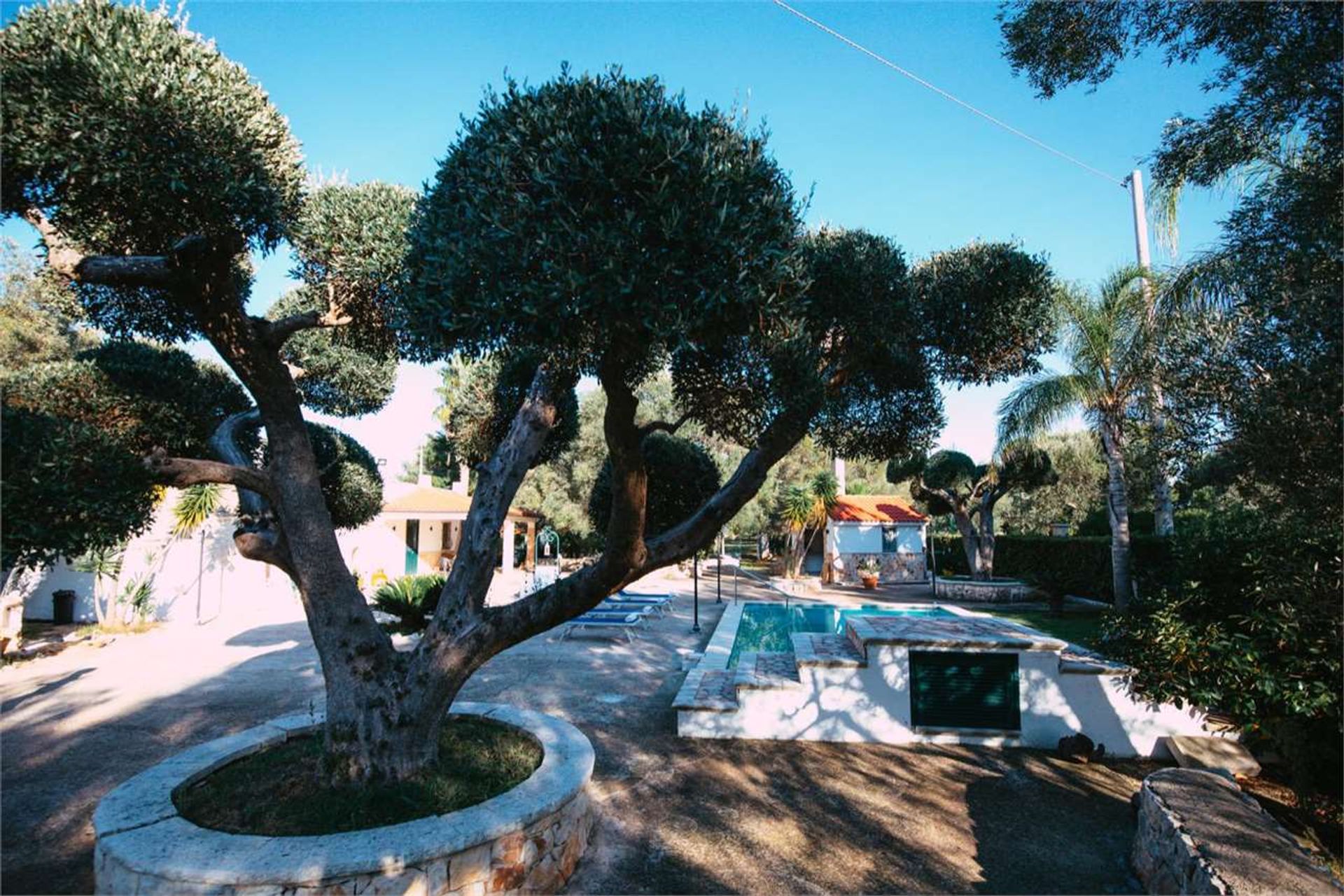 Будинок в Carovigno, Apulia 11393095