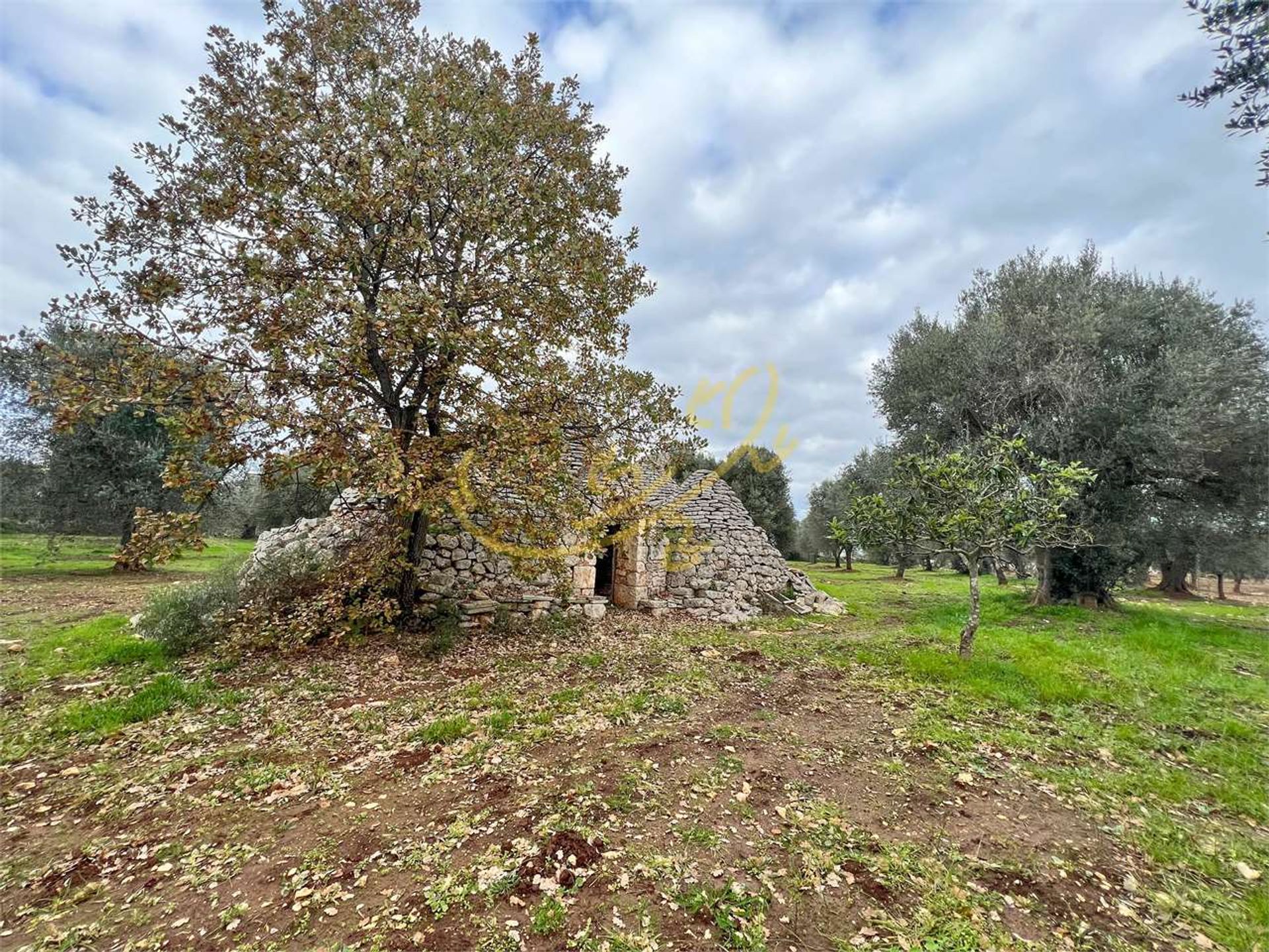 Maa sisään Ceglie Messapico, Puglia 11393117