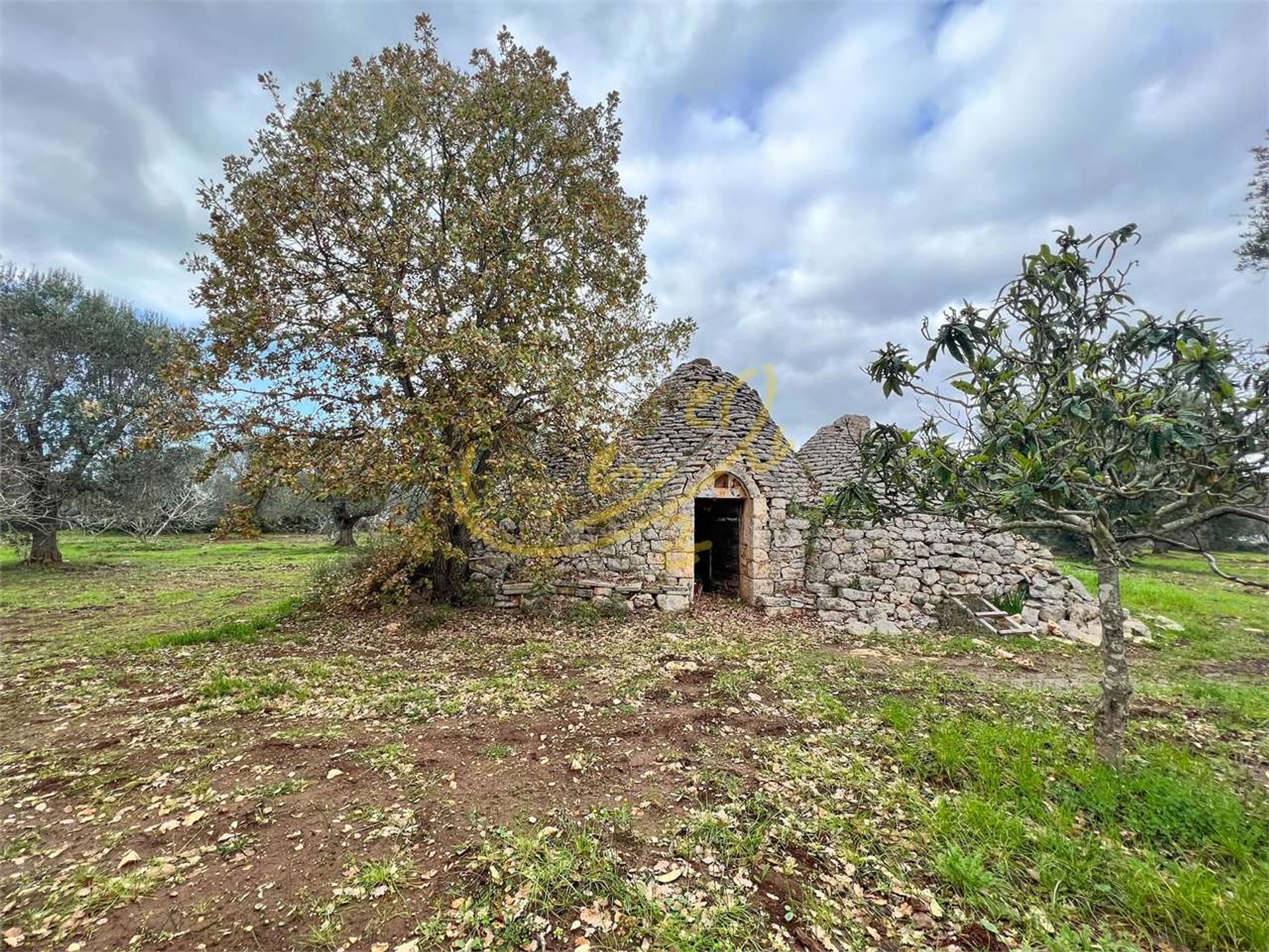 Tanah di Ceglie Messapico, Puglia 11393117