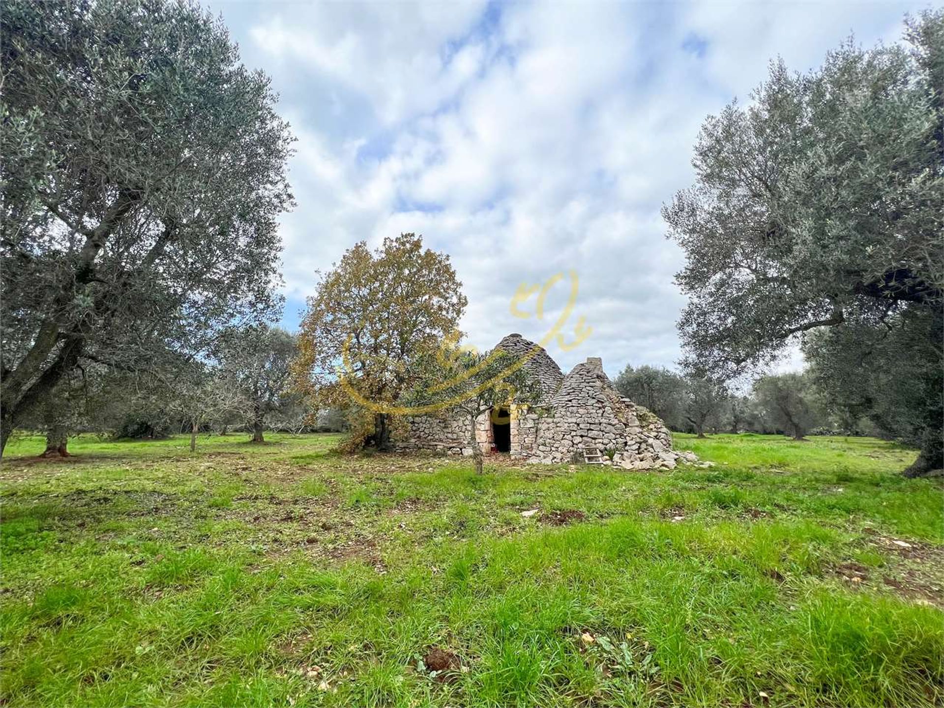 Land im Ceglie Messapico, Apulien 11393117