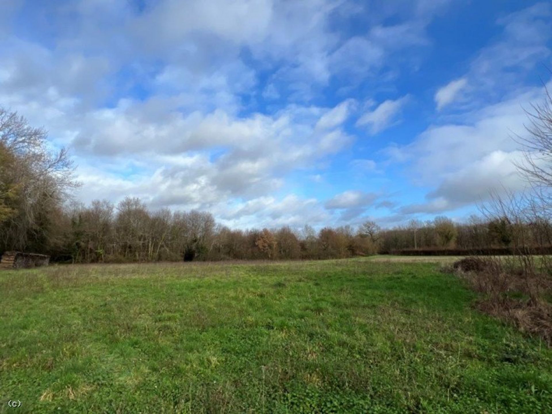 rumah dalam Mansle, Nouvelle-Aquitaine 11393357