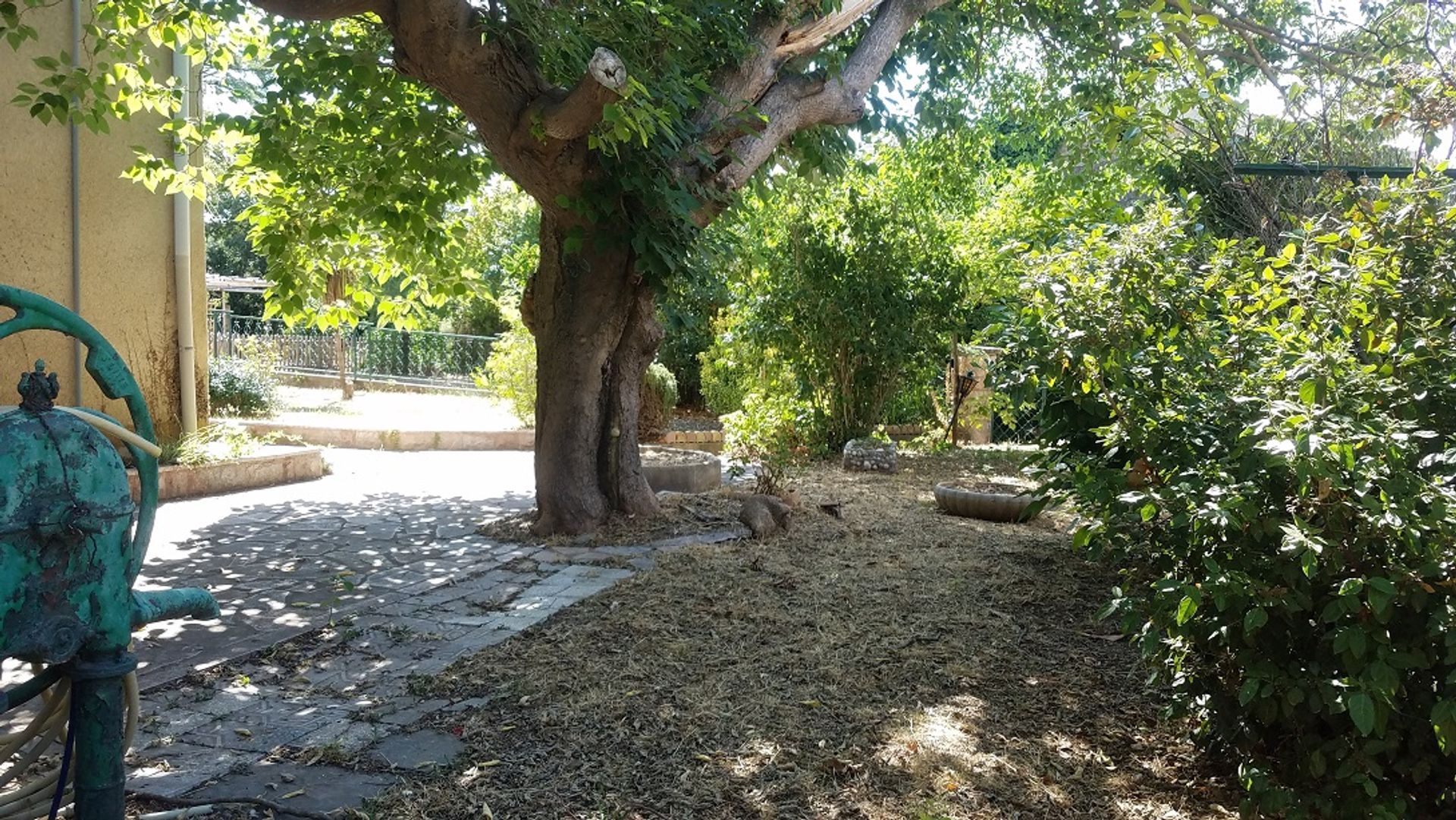 Jord i Lieuran-lès-Béziers, Occitanie 11393650