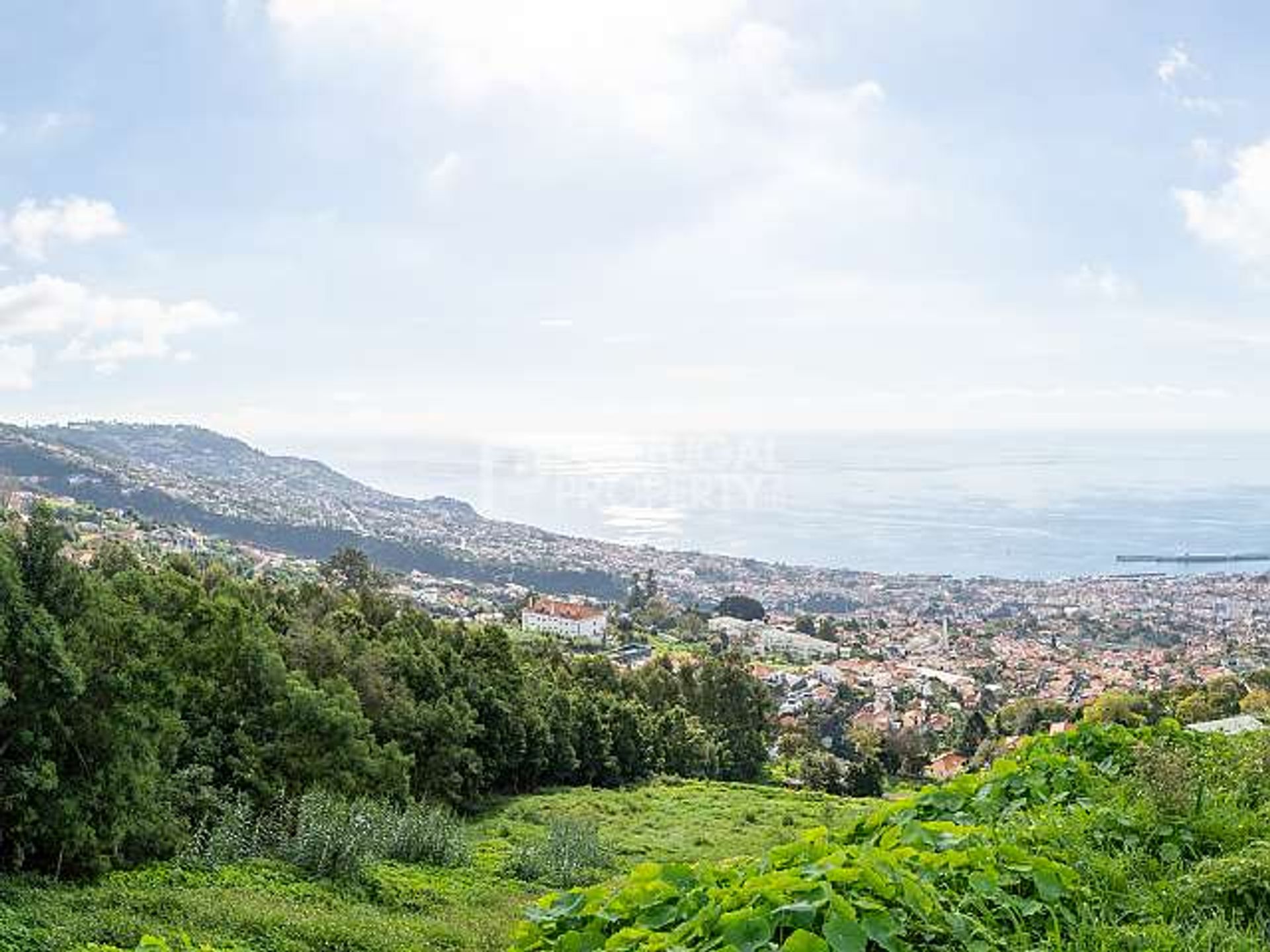 House in Funchal, Madeira 11393972