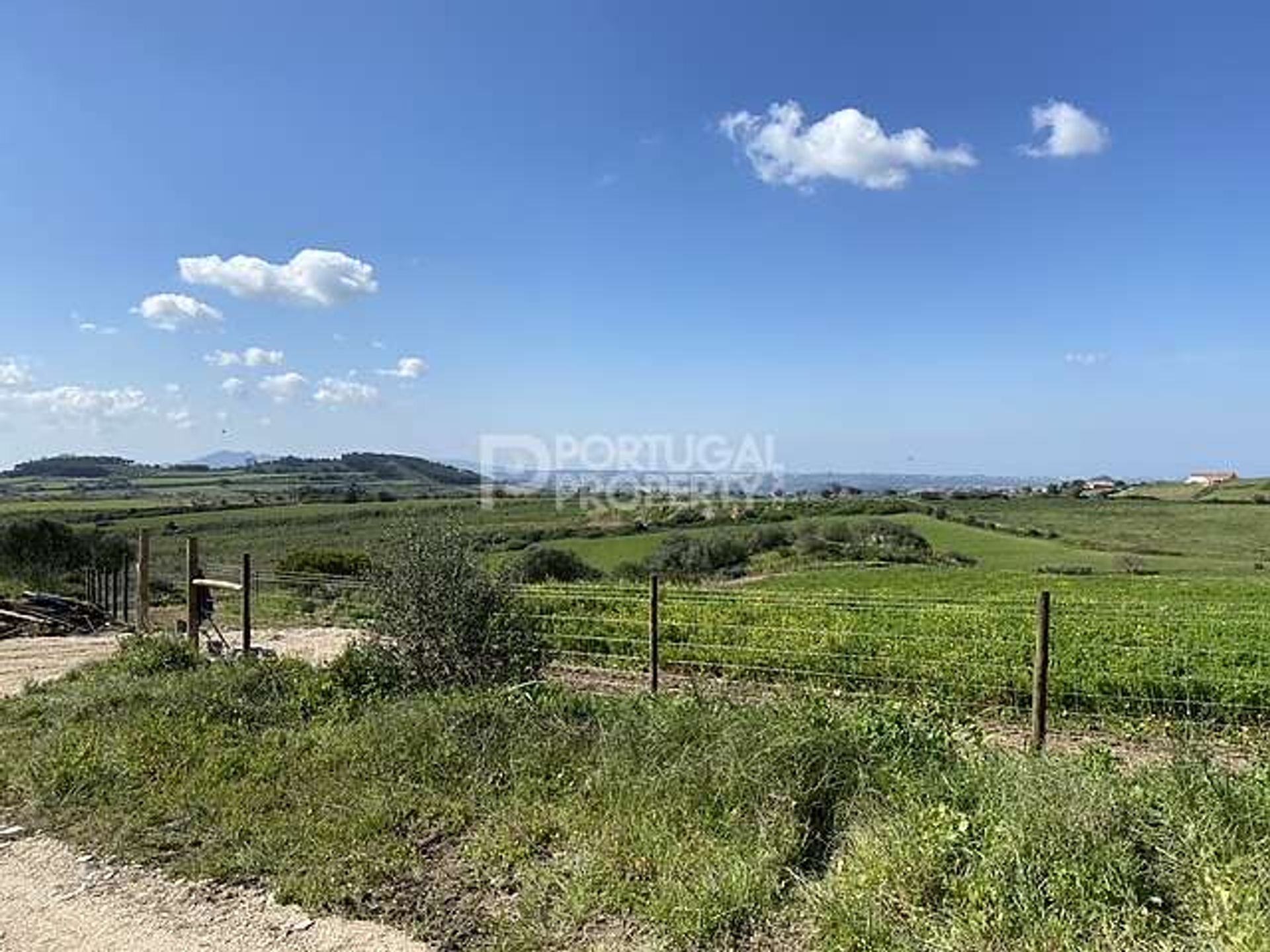 Tierra en Rossio ao Sul do Tejo, Santarem 11394144