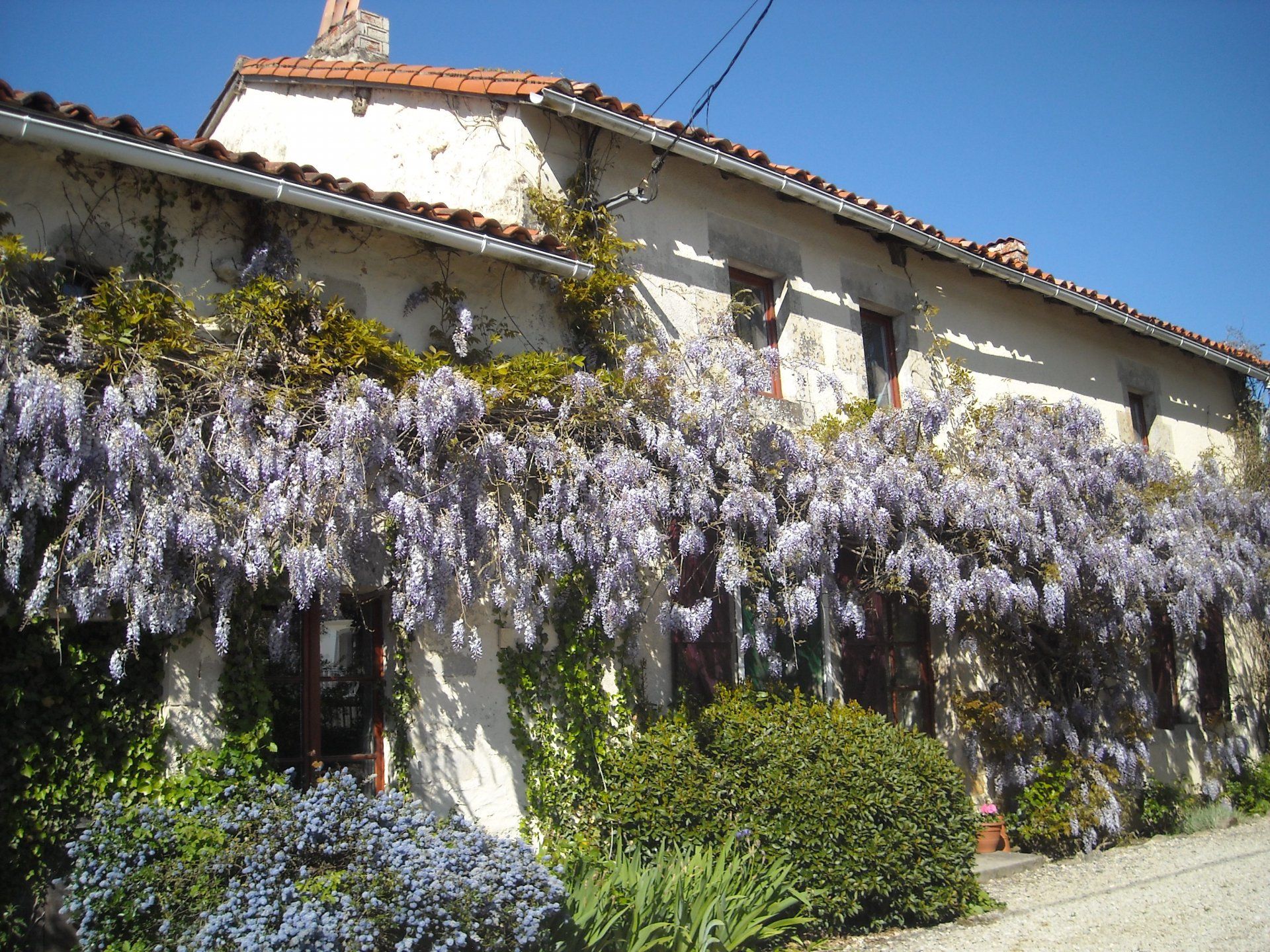 Muu sisään La Chapelle-Pouilloux, Nouvelle-Aquitaine 11394595