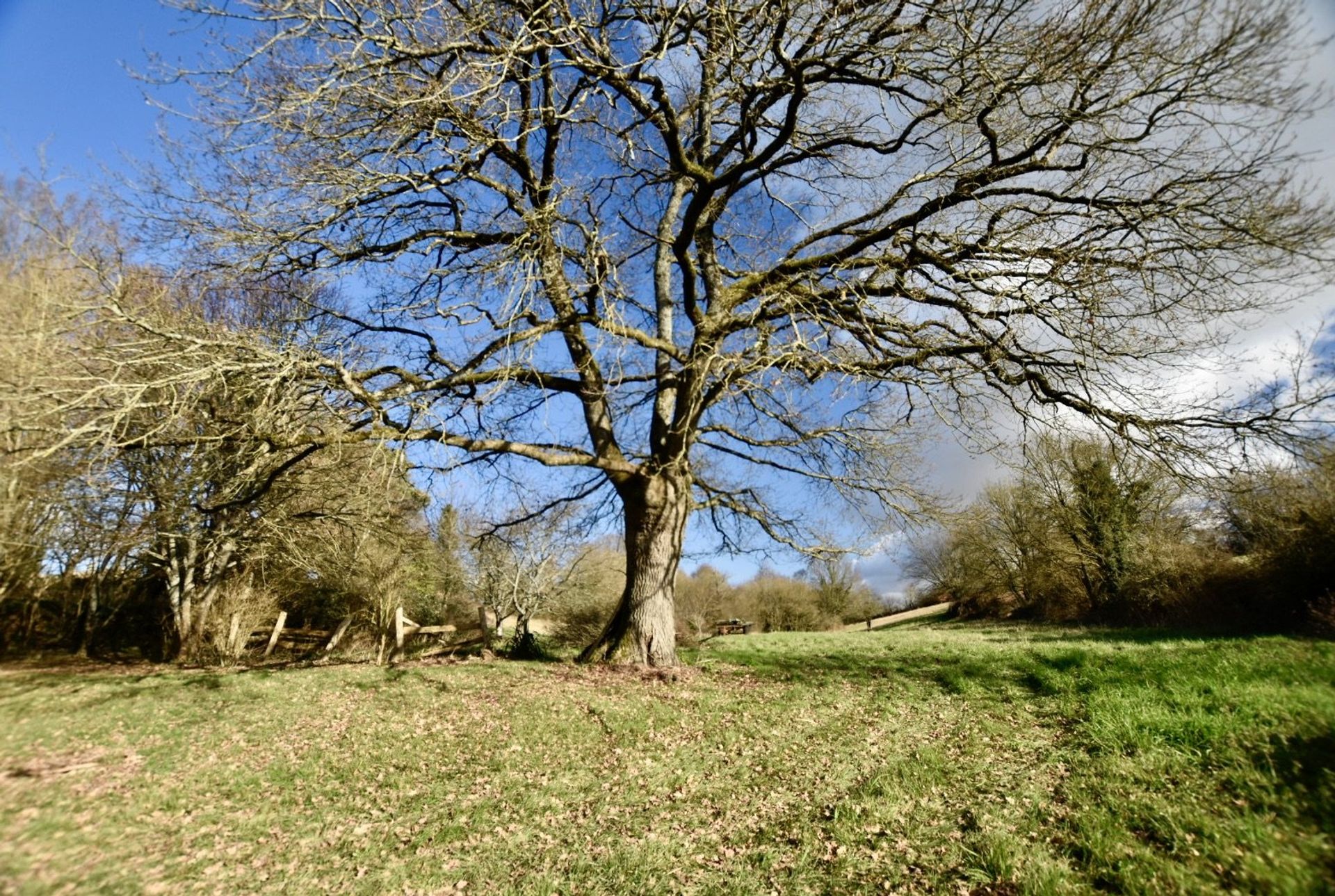 Altro nel Saint-Coutant, Nouvelle-Aquitaine 11394697