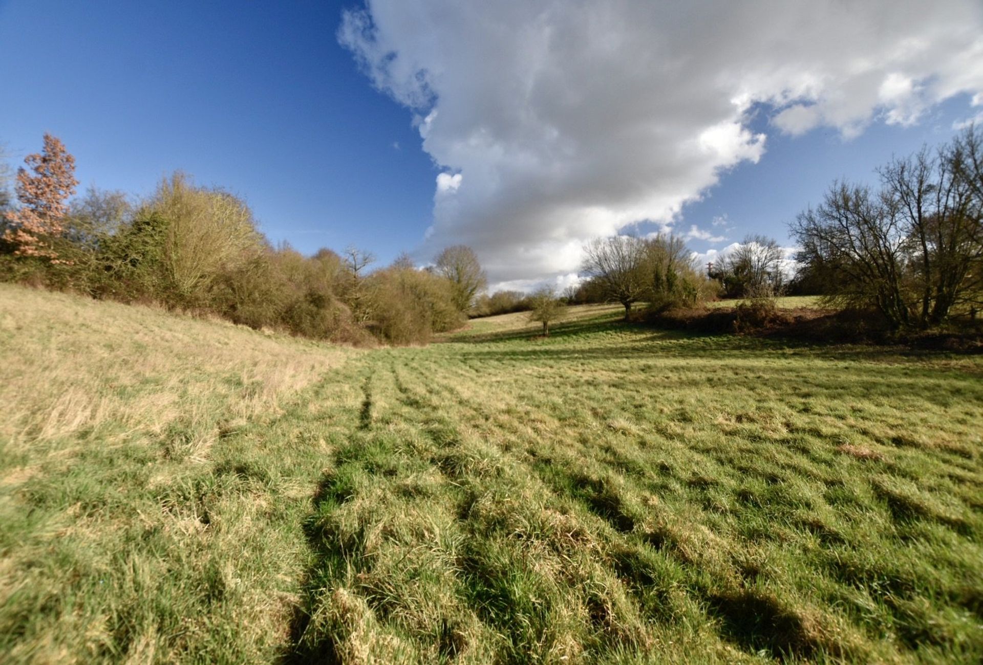 Altro nel Saint-Coutant, Nouvelle-Aquitaine 11394697