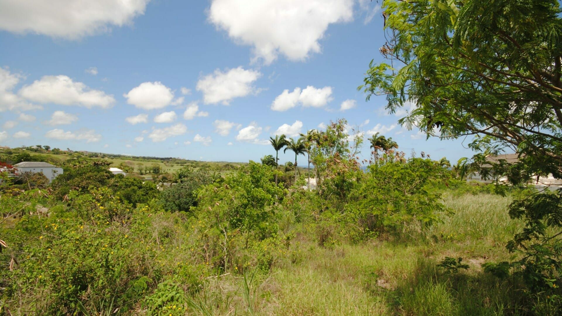 Land in Trents, Saint James 11394764