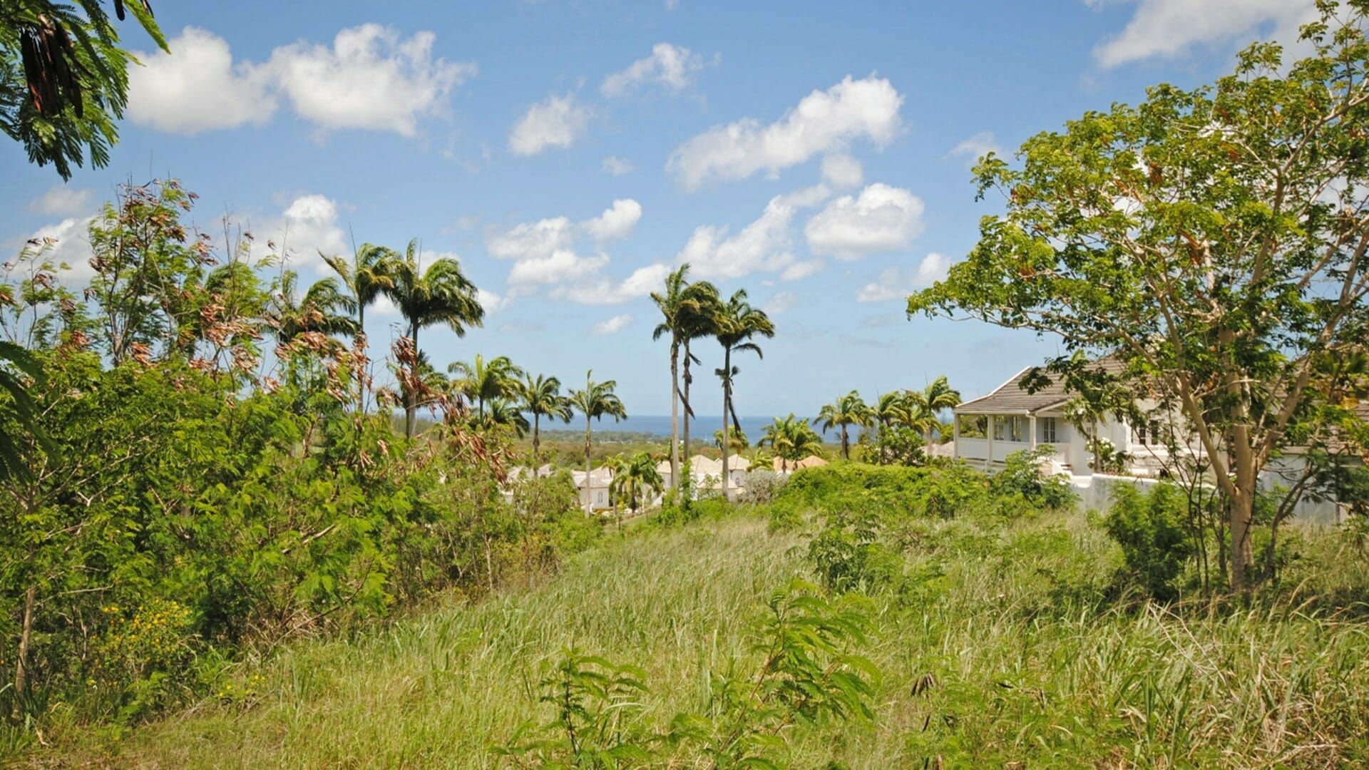 Land in Trents, Saint James 11394764