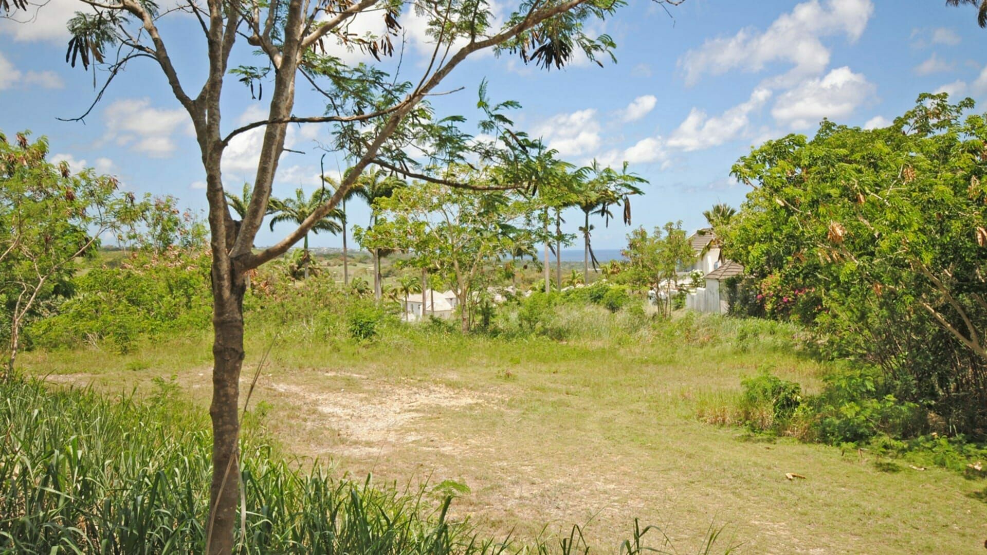 Land i , Saint James 11394764