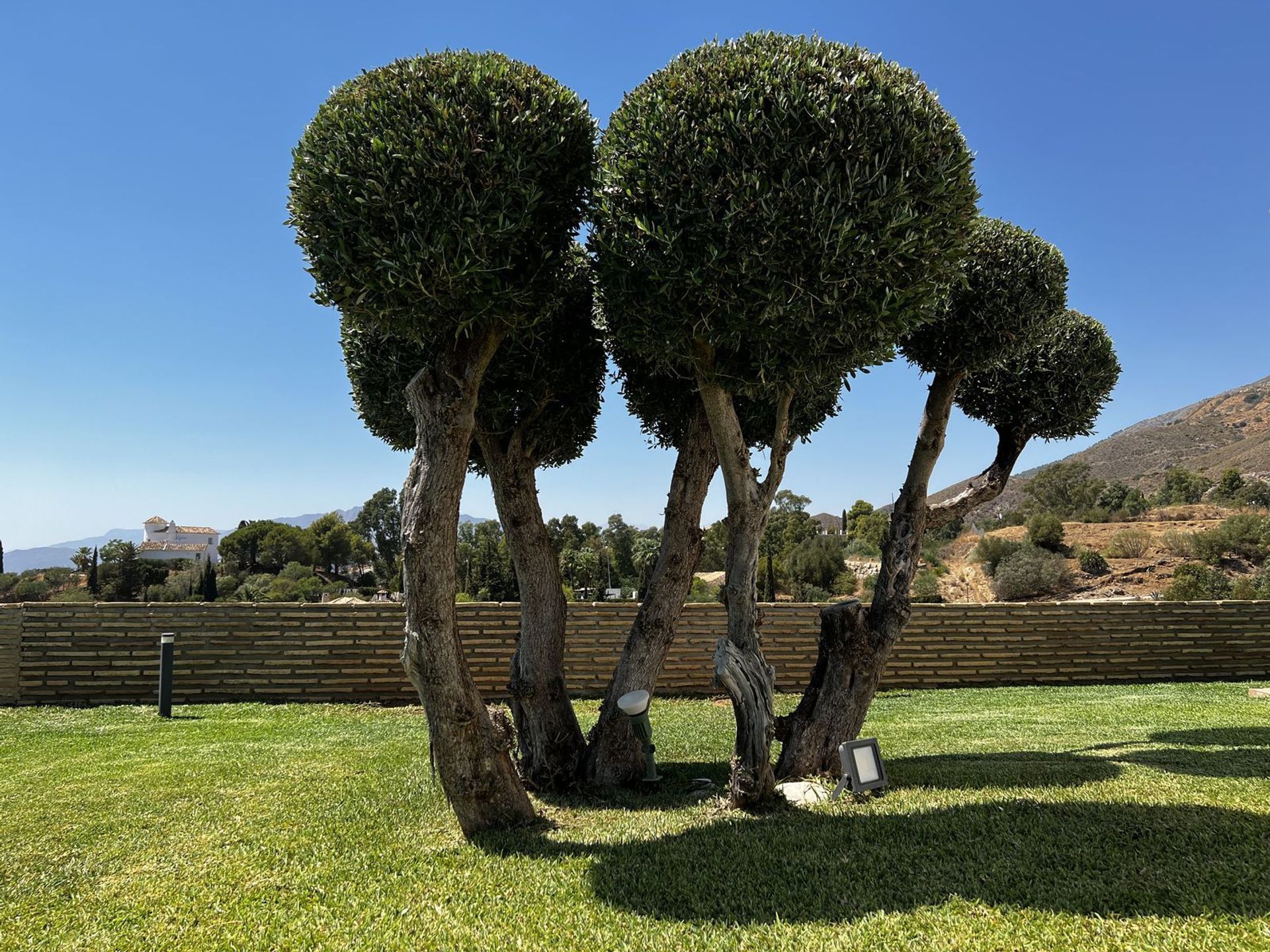 بيت في Mijas, Andalusia 11394889