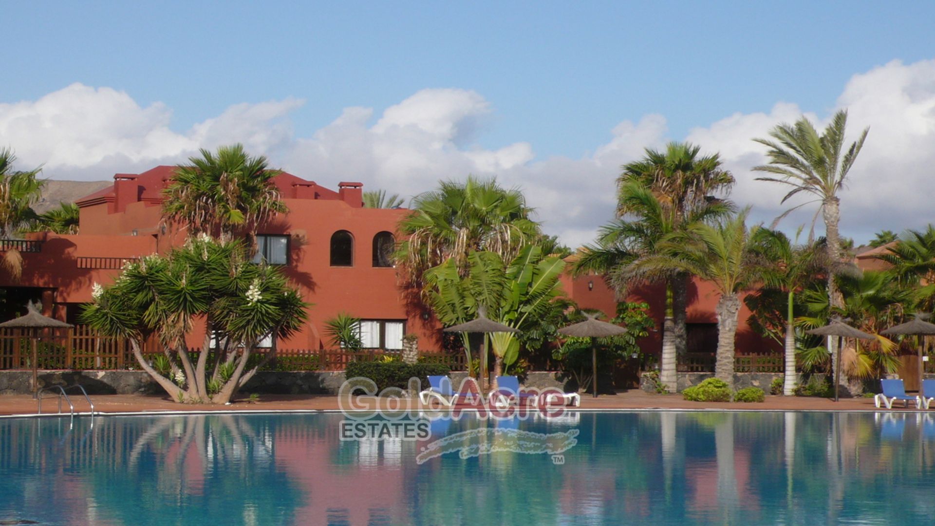 House in Corralejo, Canary Islands 11395383