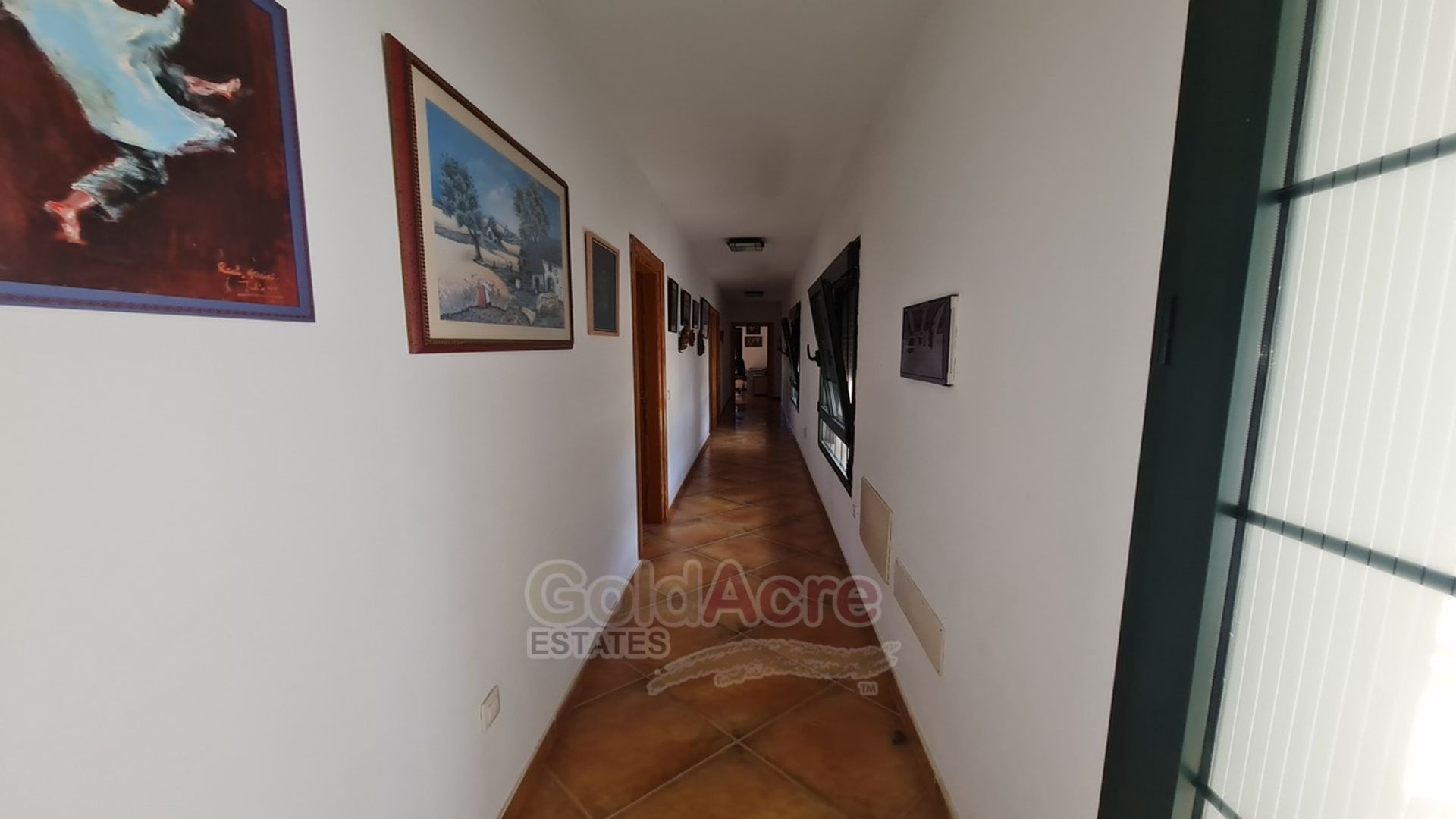 Haus im Puerto del Rosario, Canarias 11395413